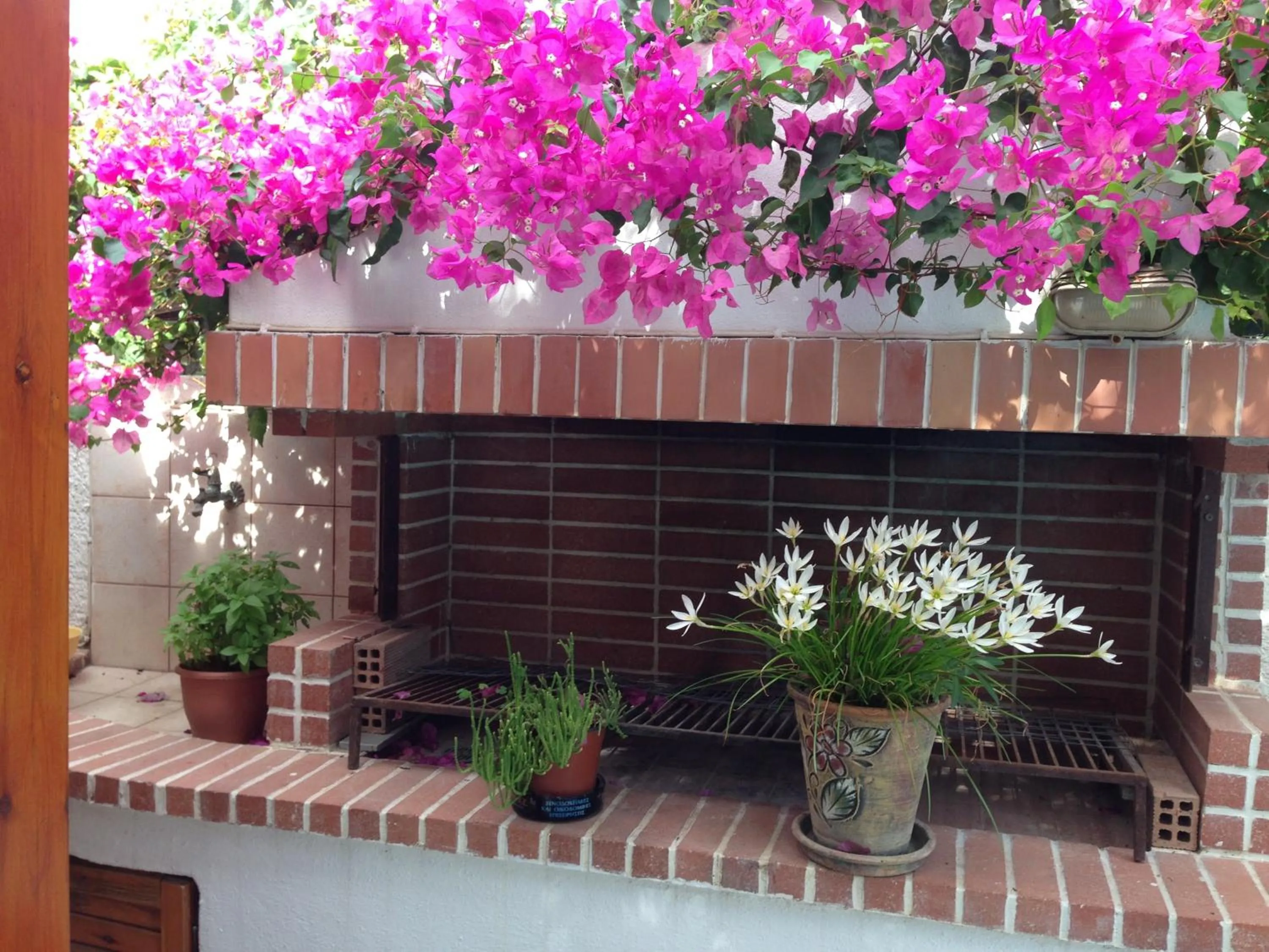 Garden in Kastro Studios Apartments