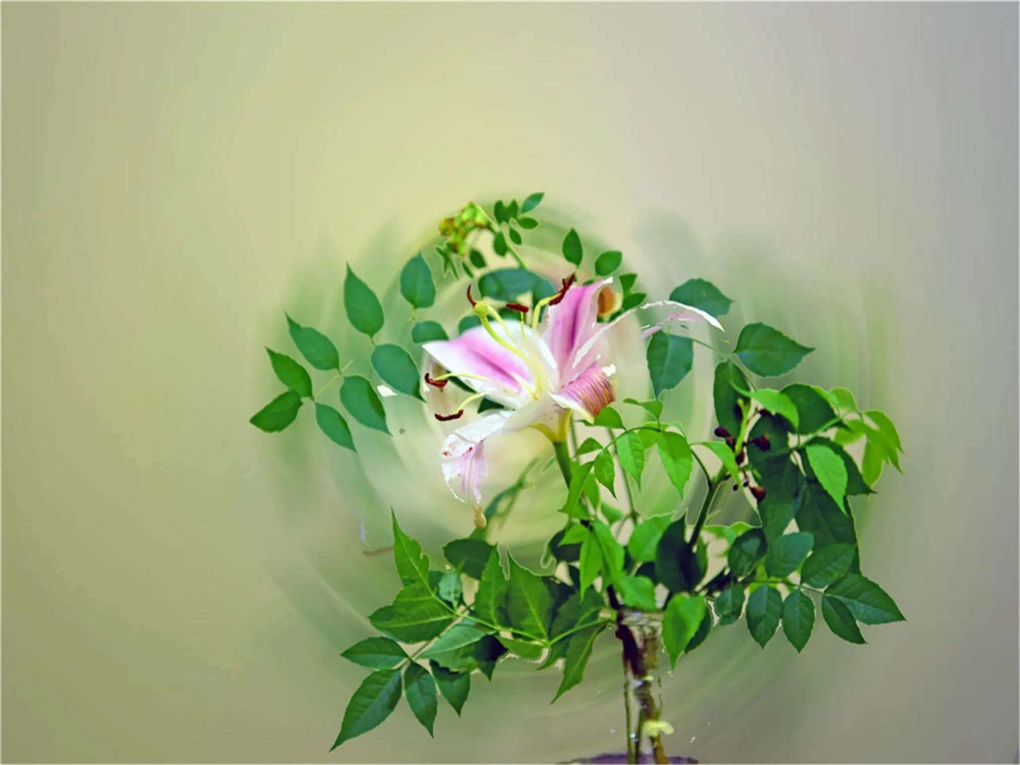 Property building in Soho Garden Hotel (Shanghai Huaihai Rd. Flagship)