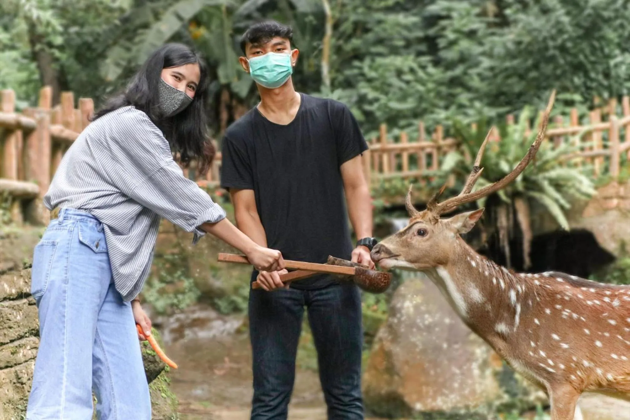 Activities in Safari Resort