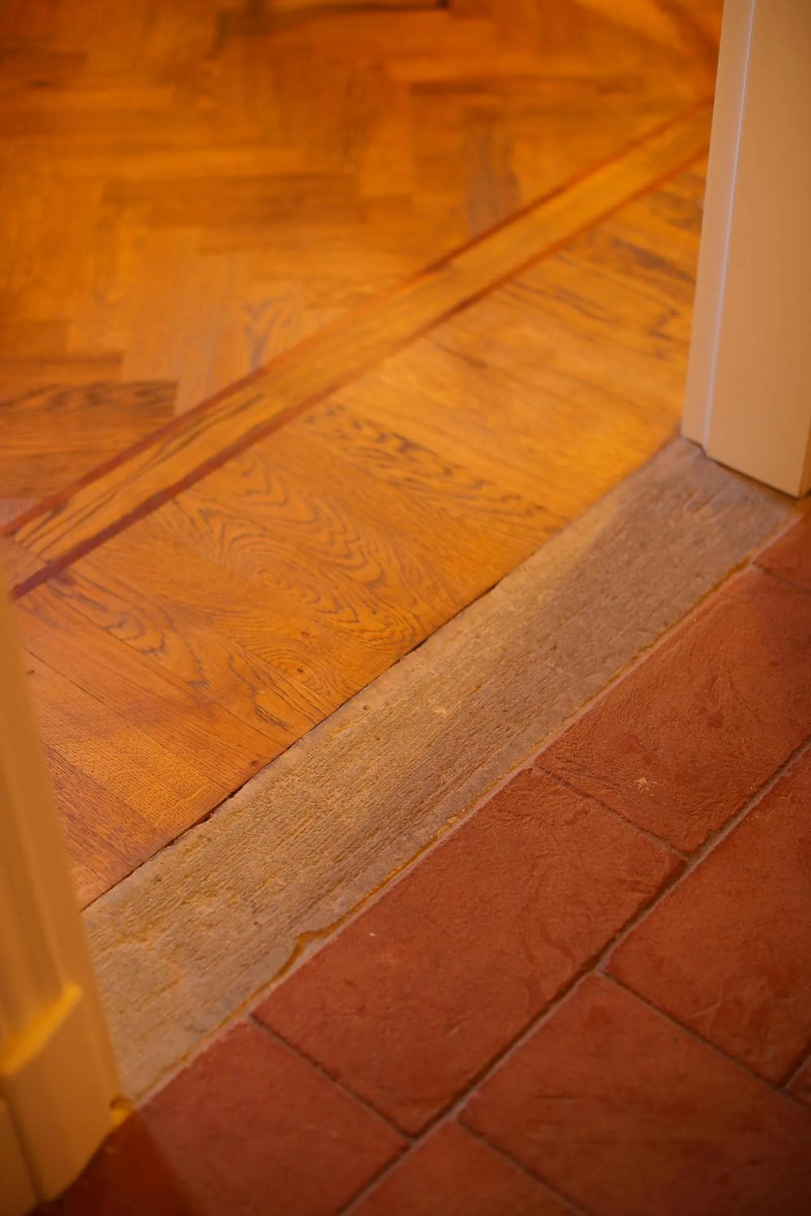 Residenza La Musa Amarcord