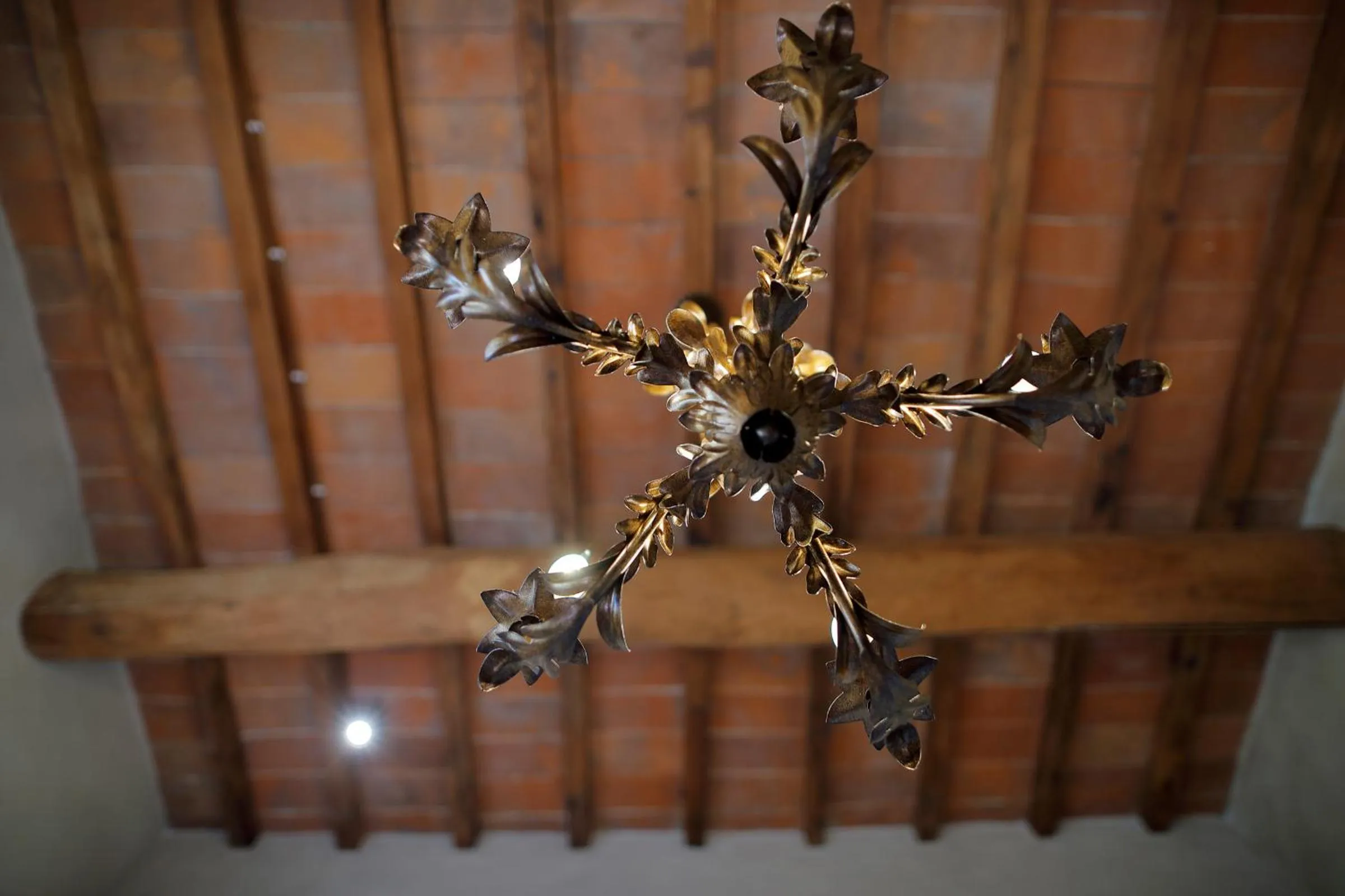 Residenza La Musa Amarcord