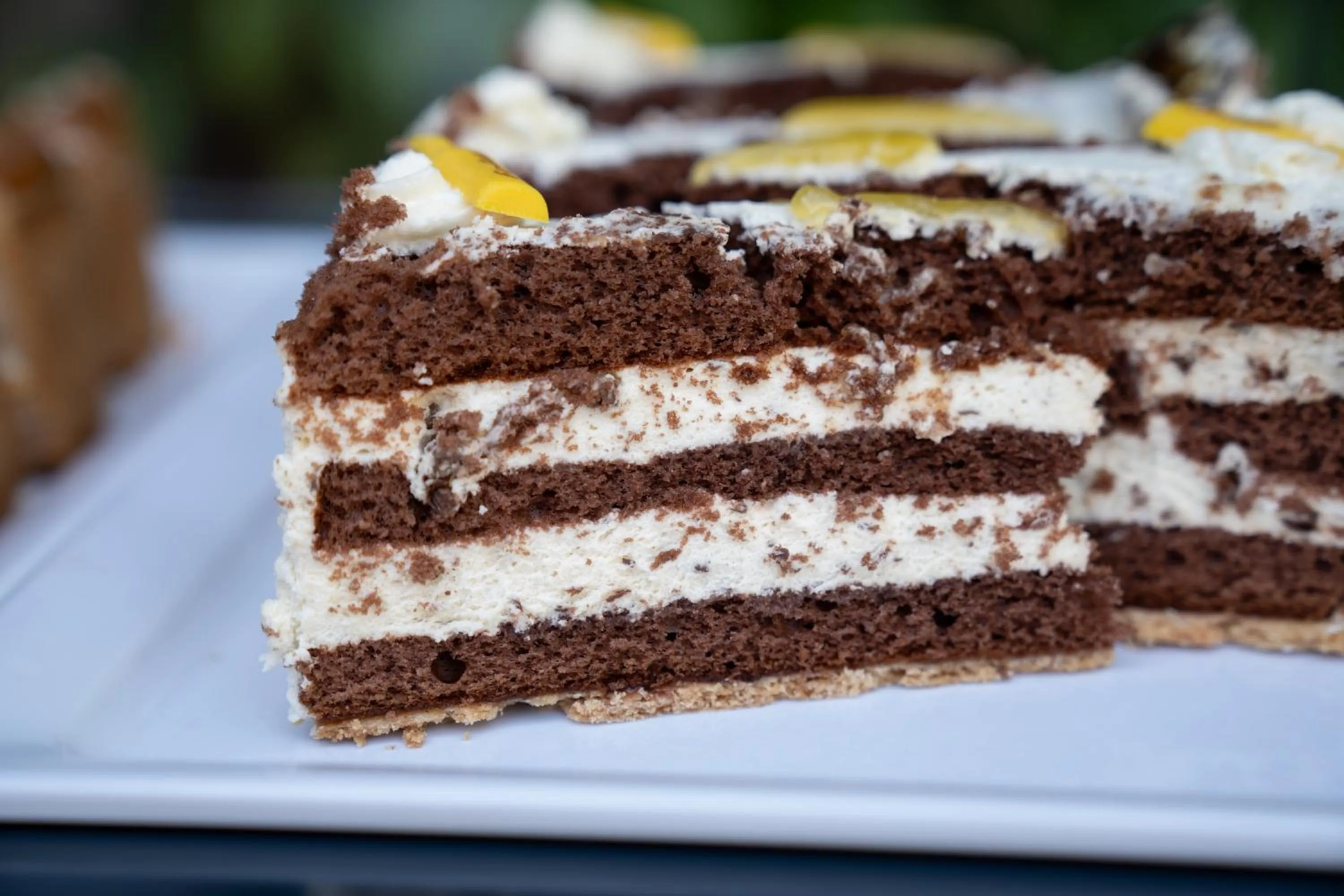 Restaurant/places to eat in Landhaus Danielshof