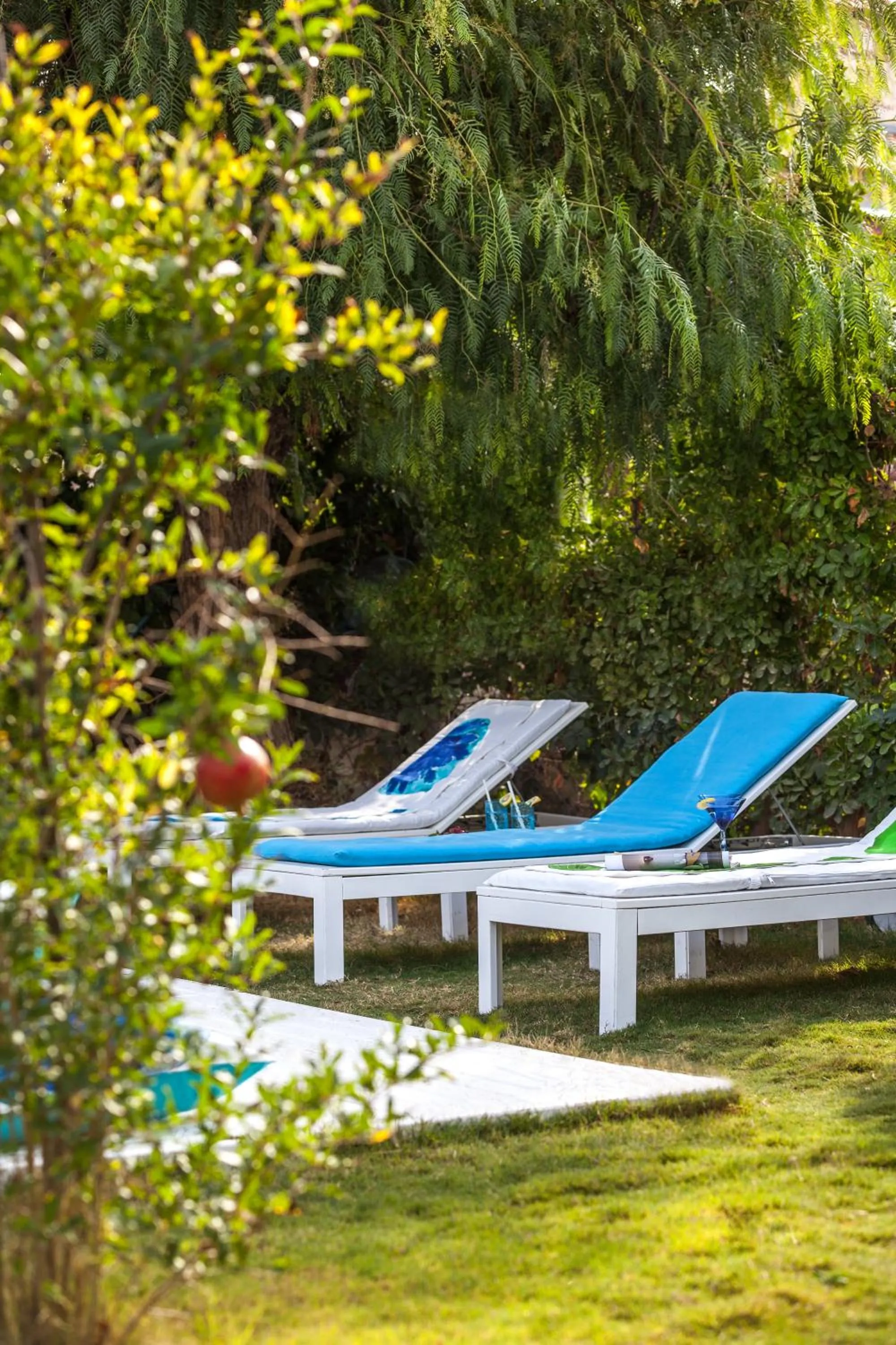 Garden in Alura Hotel