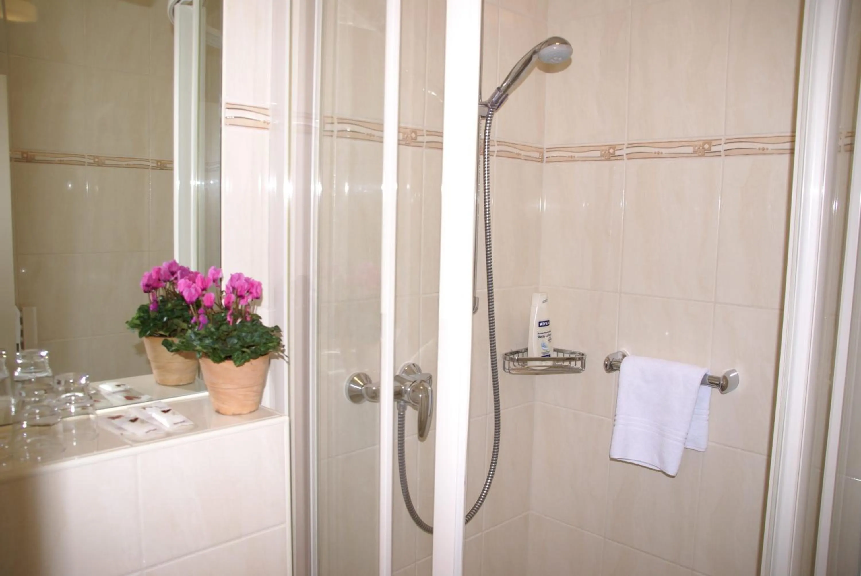 Shower in Komforthotel & Restaurant Riemann