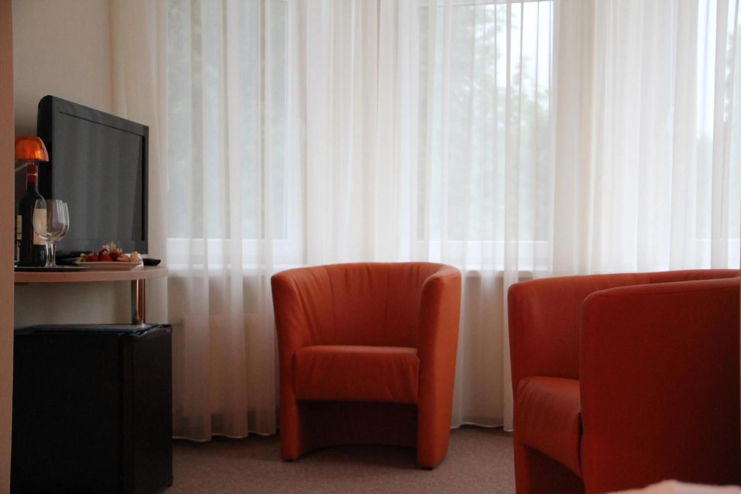 TV and multimedia in Dzintars Hotel