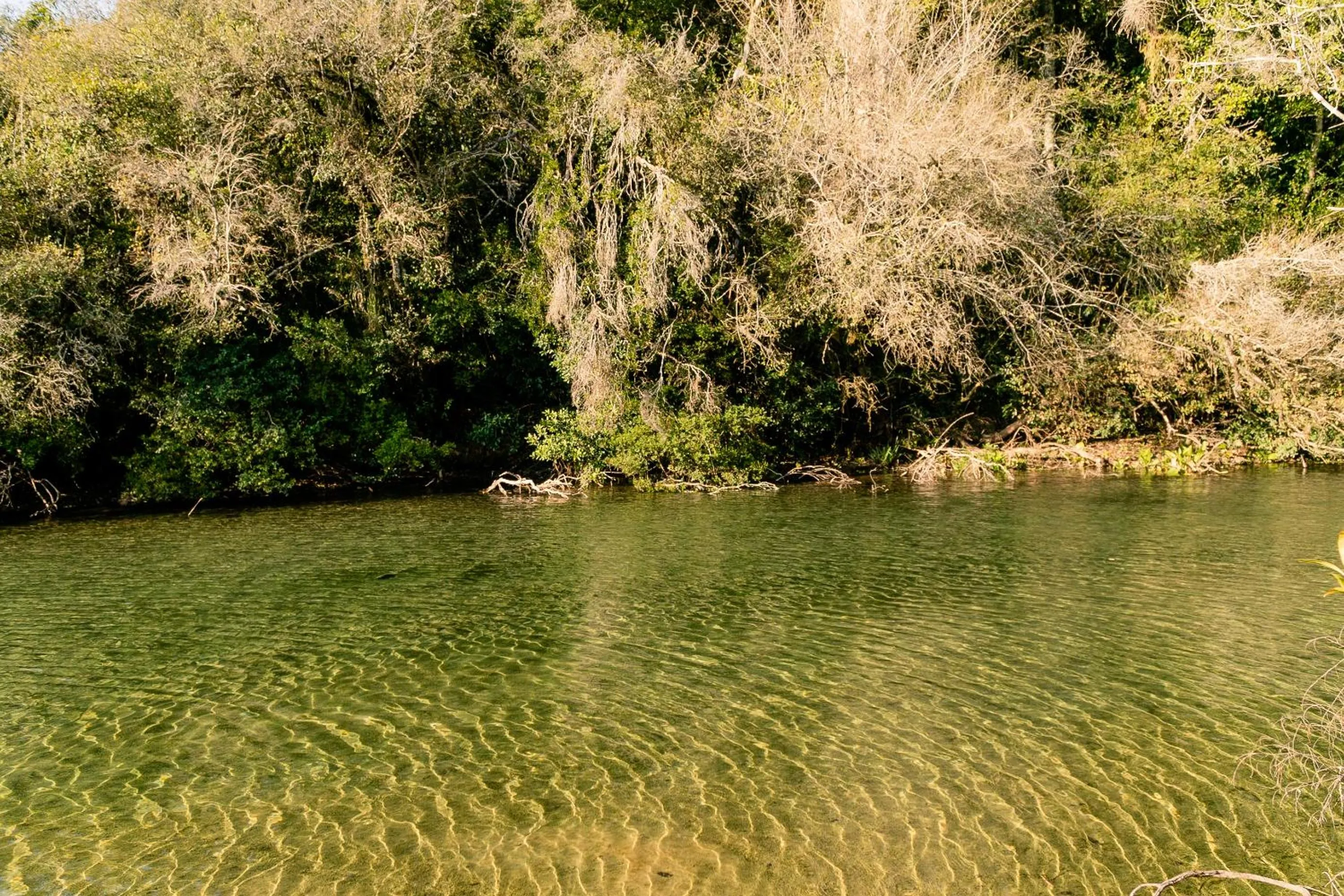 Nearby landmark in Planalto Select Hotel Ponta Grossa