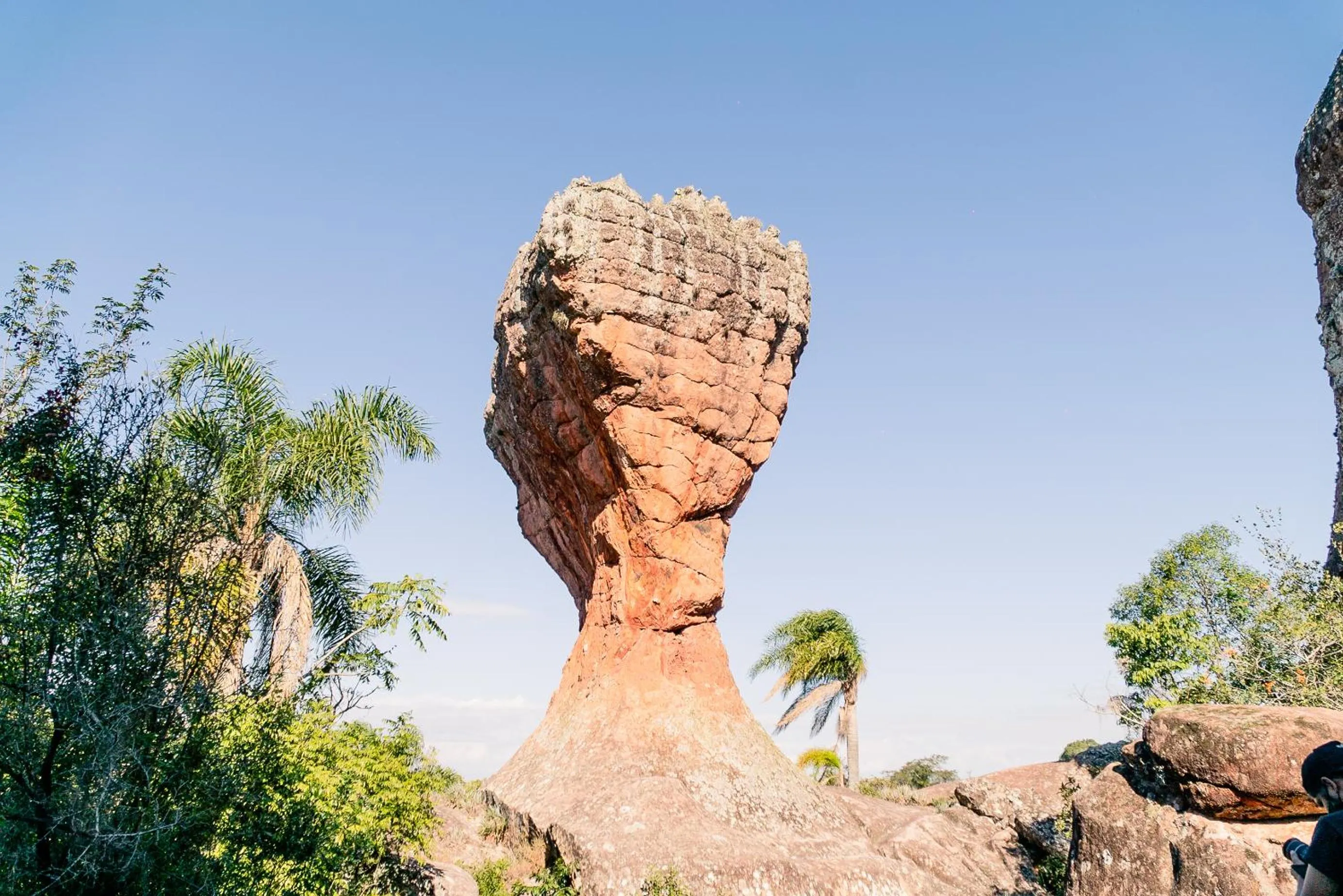 Nearby landmark in Planalto Select Hotel Ponta Grossa