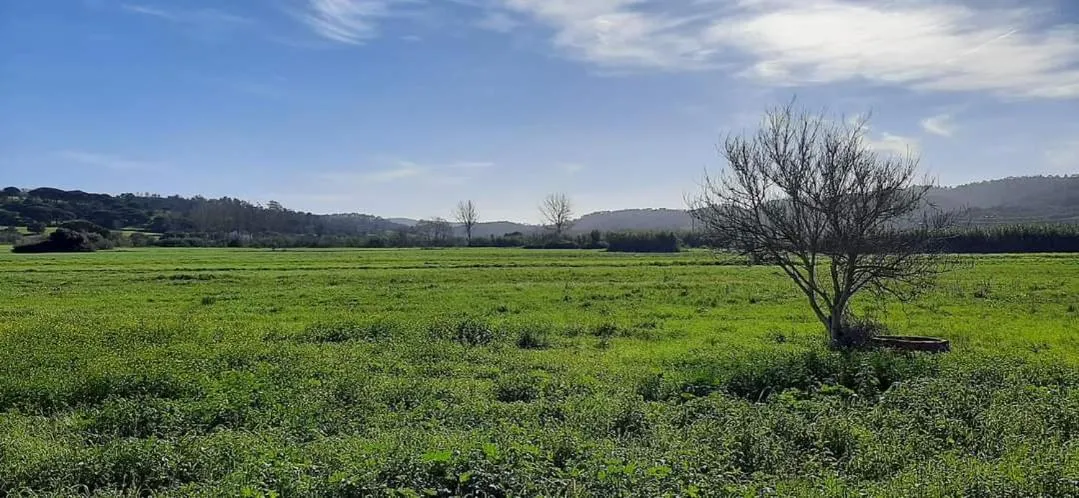 Guesthouse A Lareira