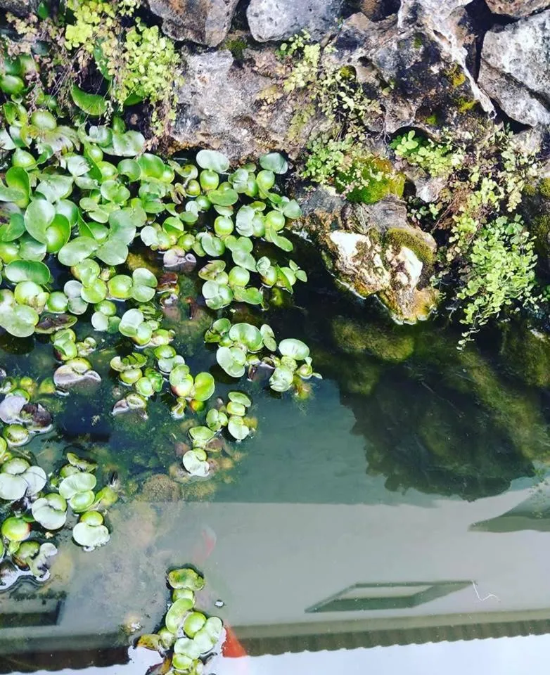 Lake view in Guesthouse A Lareira