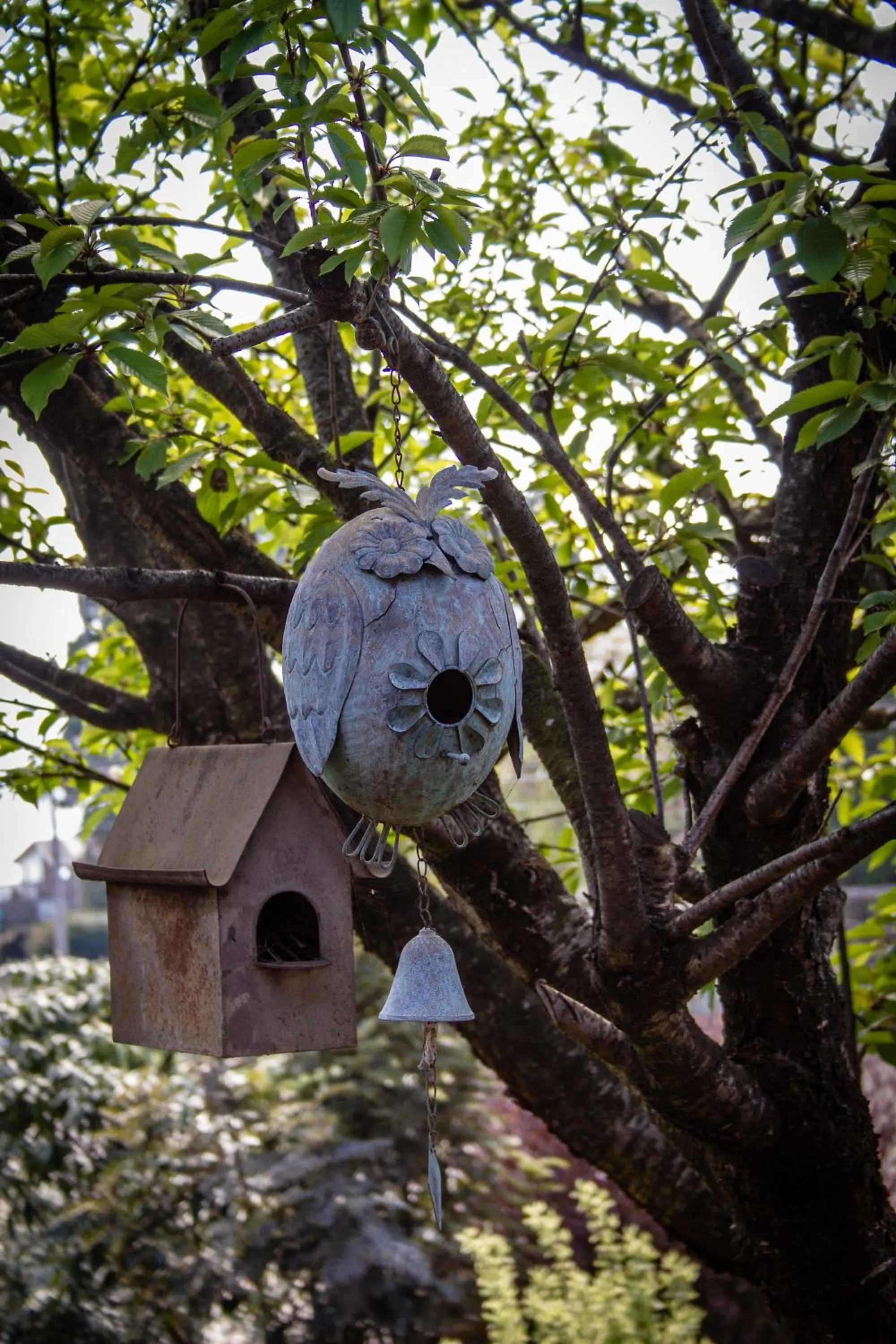 Patio in Casa Kalfu Hotel Boutique