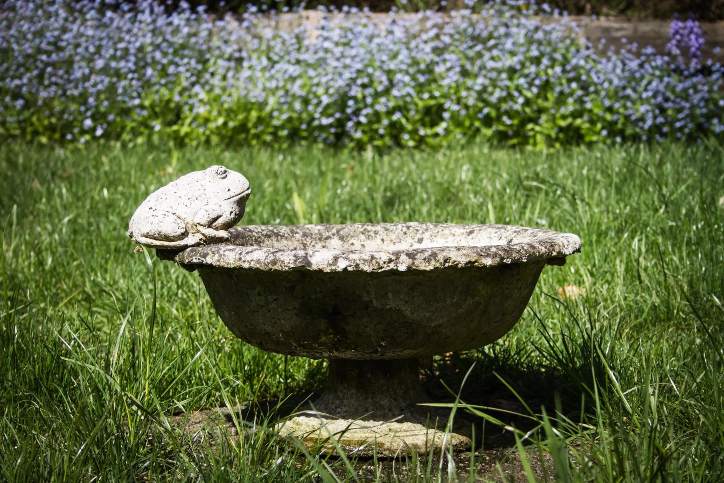 Patio in Casa Kalfu Hotel Boutique