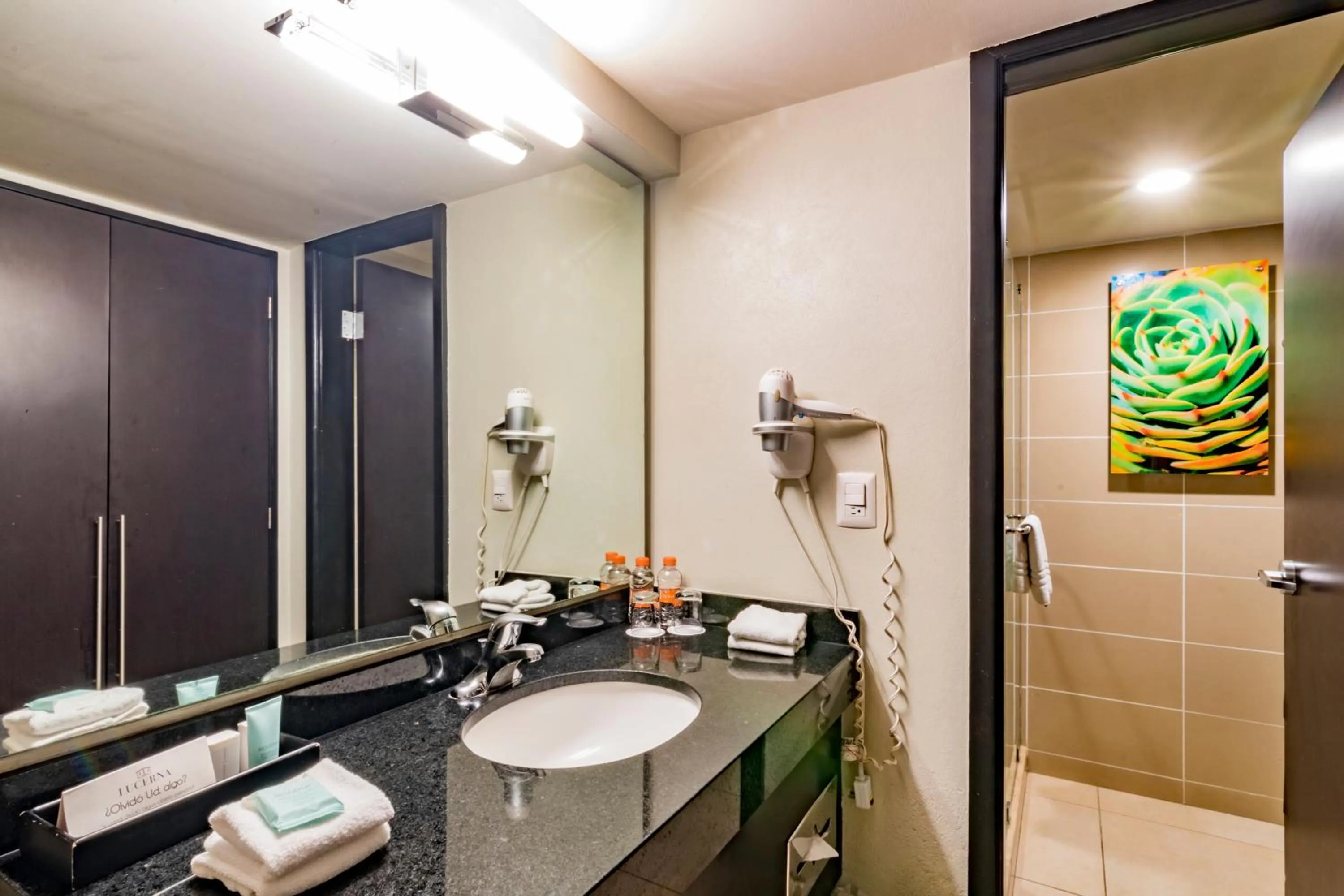 Hotel Lucerna Tijuana