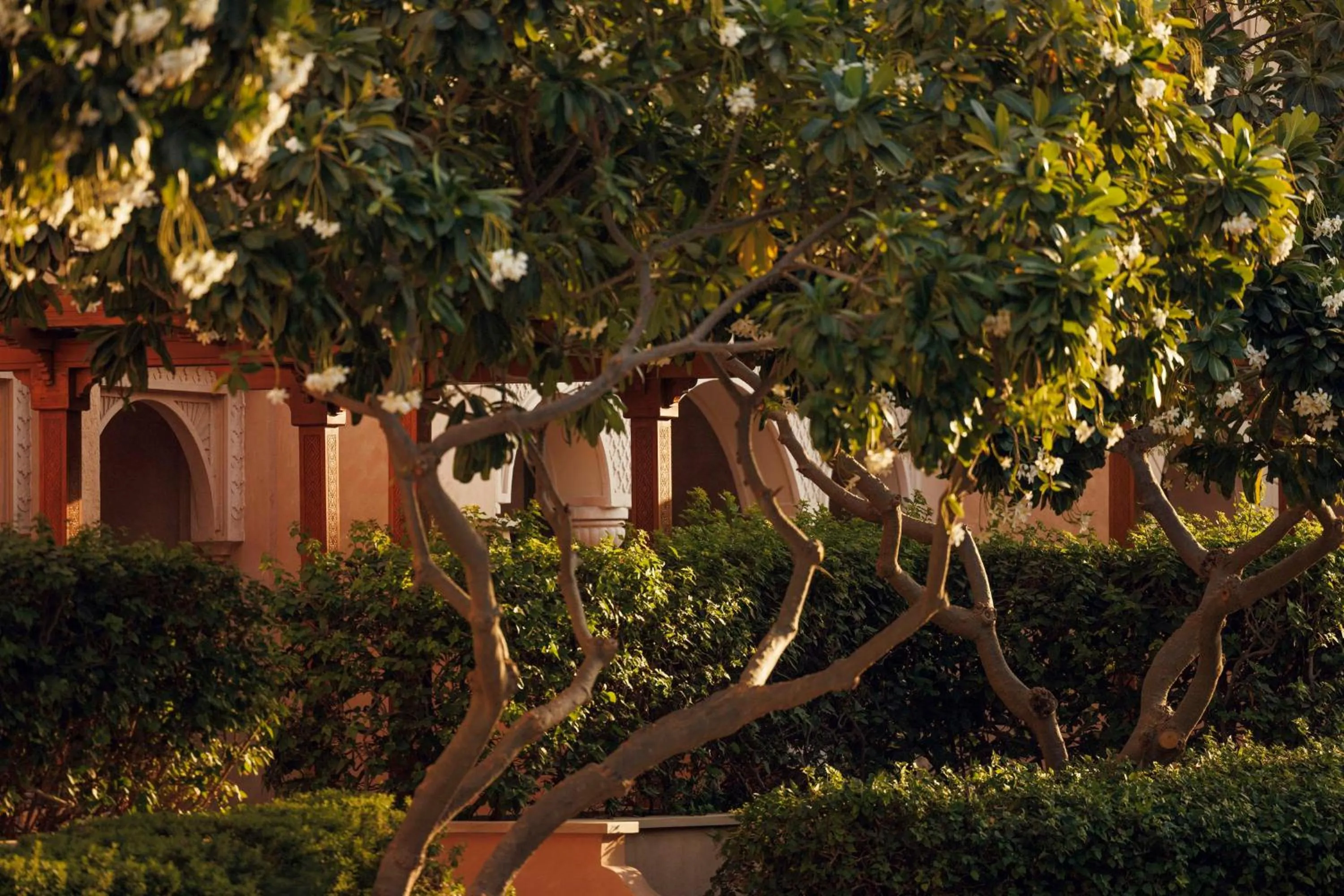 Garden in One&Only The Palm Dubai