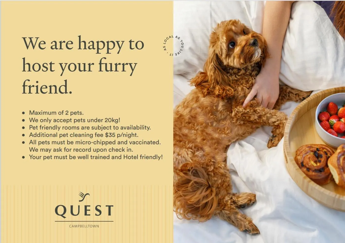 Property building in Quest Campbelltown