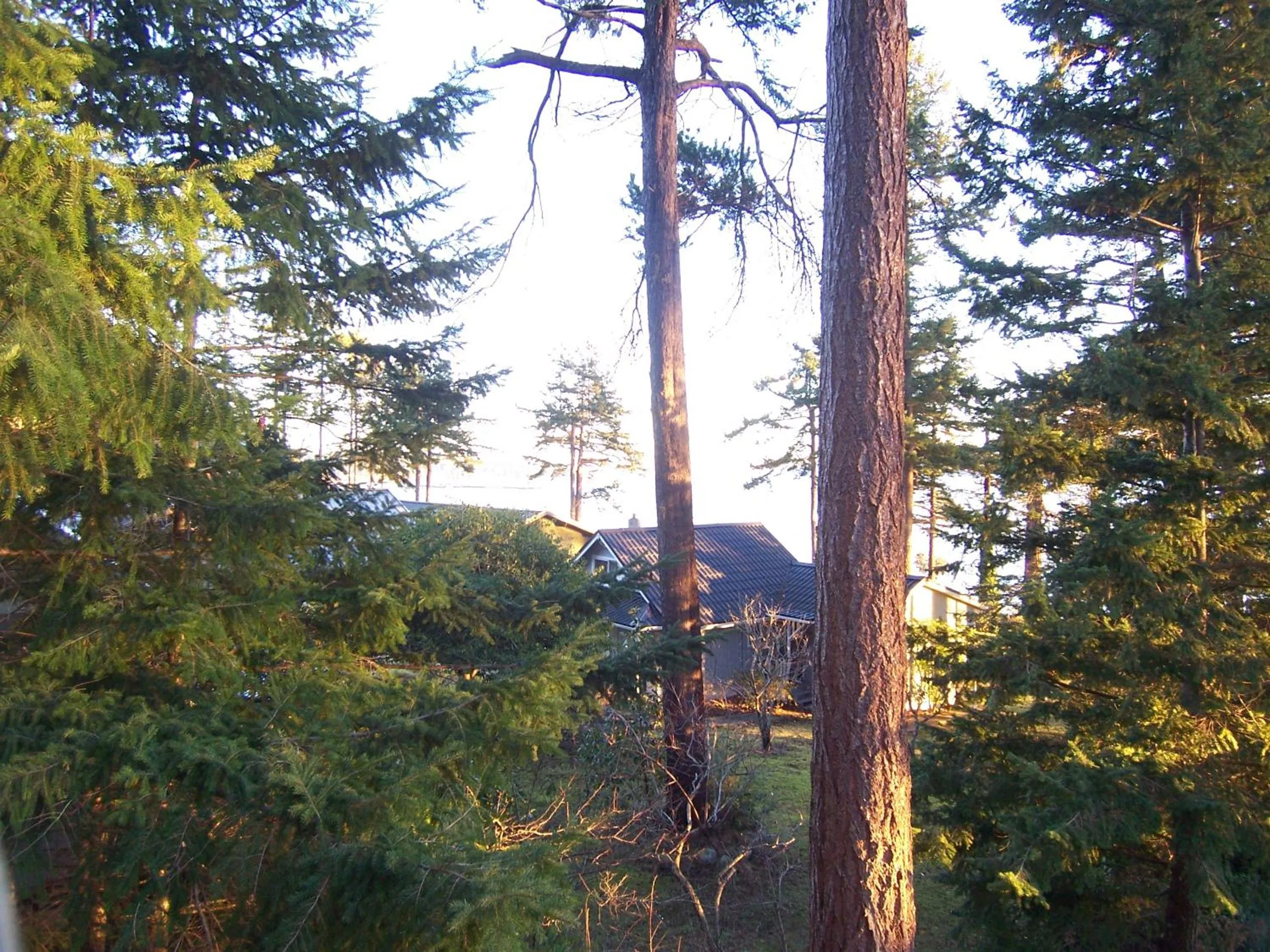 Neighbourhood in Malaspina Strait Cottage