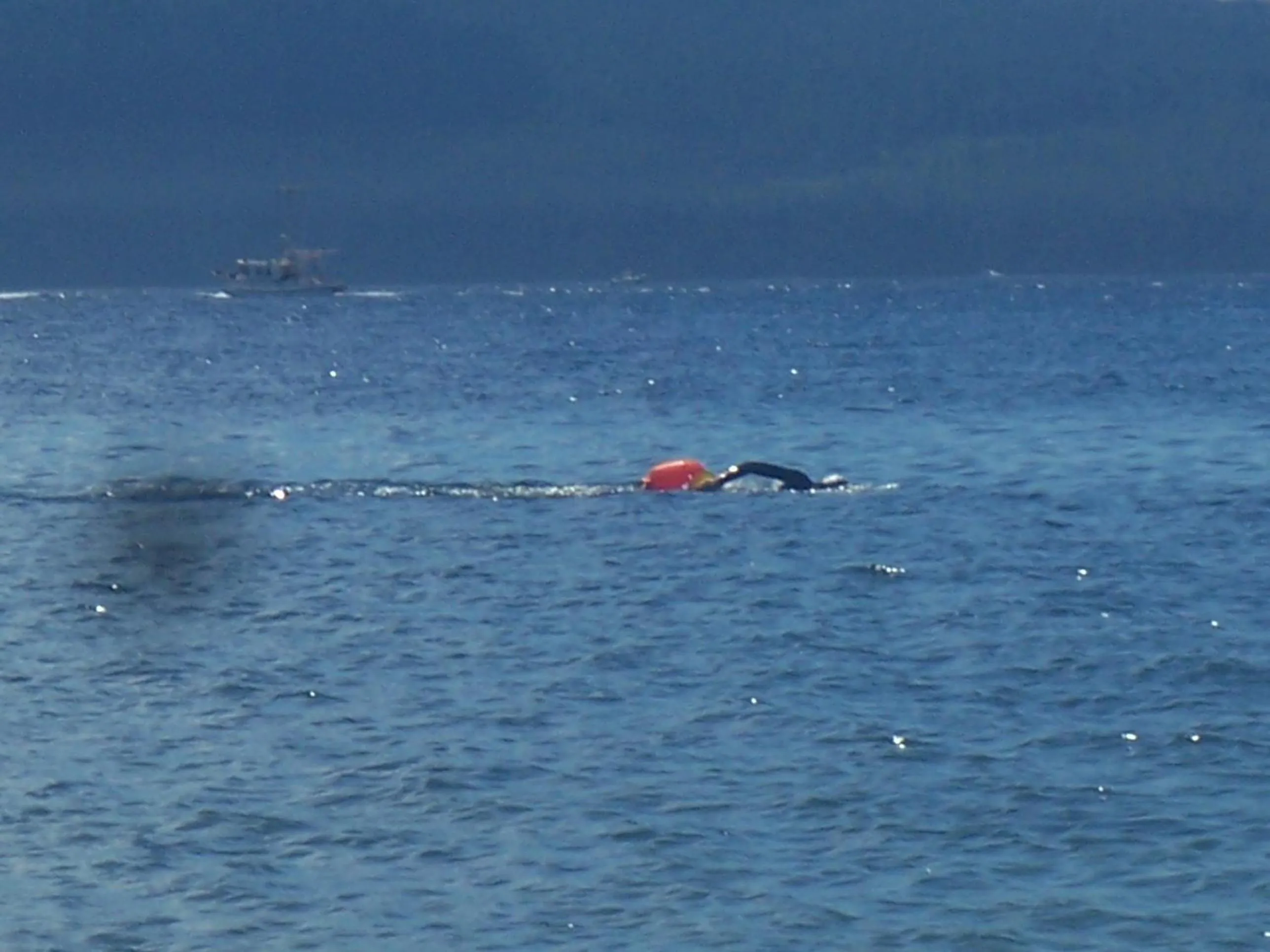 Day in Malaspina Strait Cottage