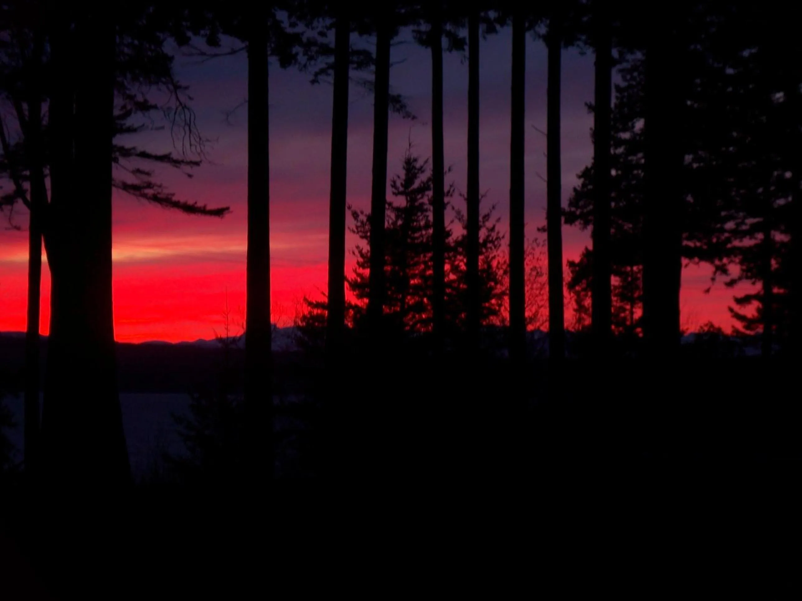 Sunset in Malaspina Strait Cottage