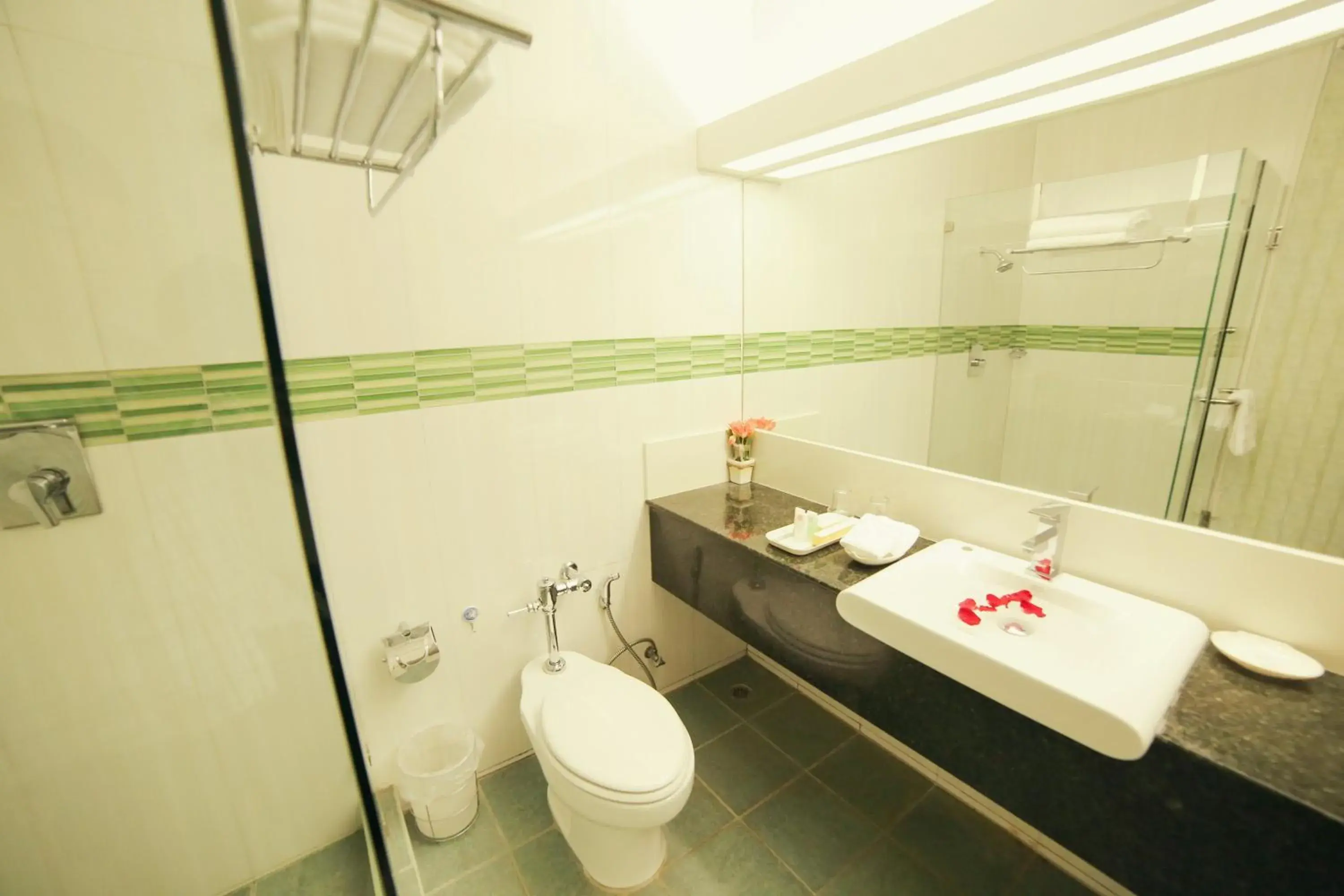 Deluxe Double Room - single occupancy in Lanexang Princess Hotel Deluxe Double Room - single occupancy in Lanexang Princess Hotel