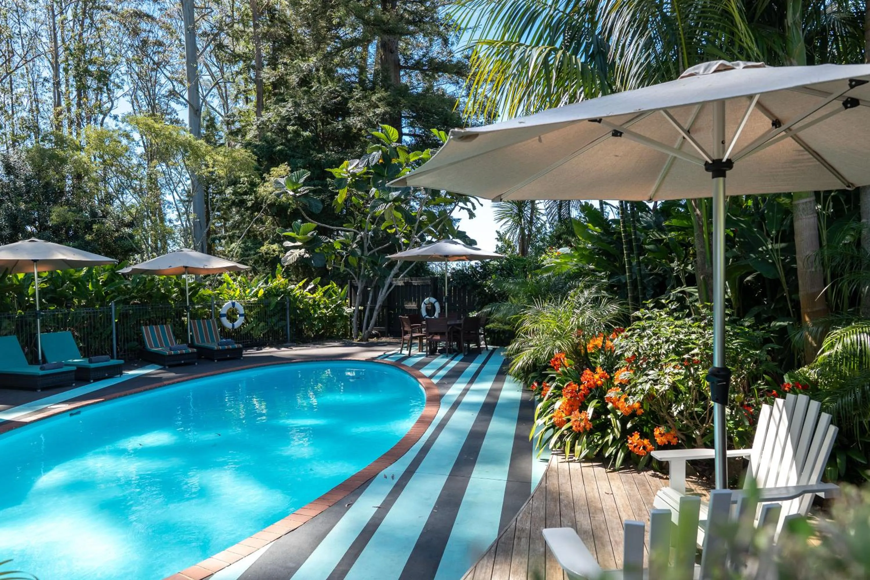 Garden view in Stay Kerikeri