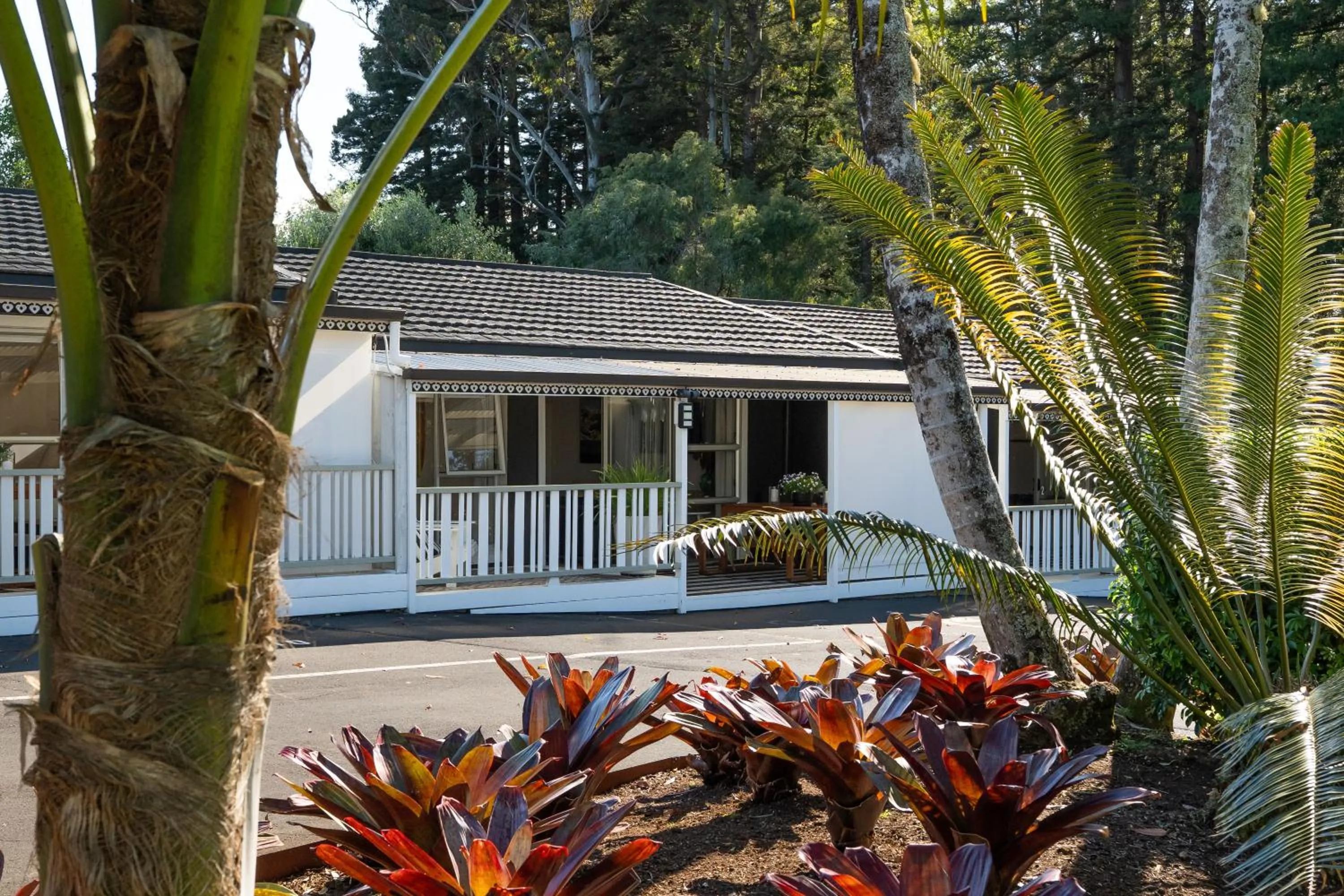 Property building in Stay Kerikeri