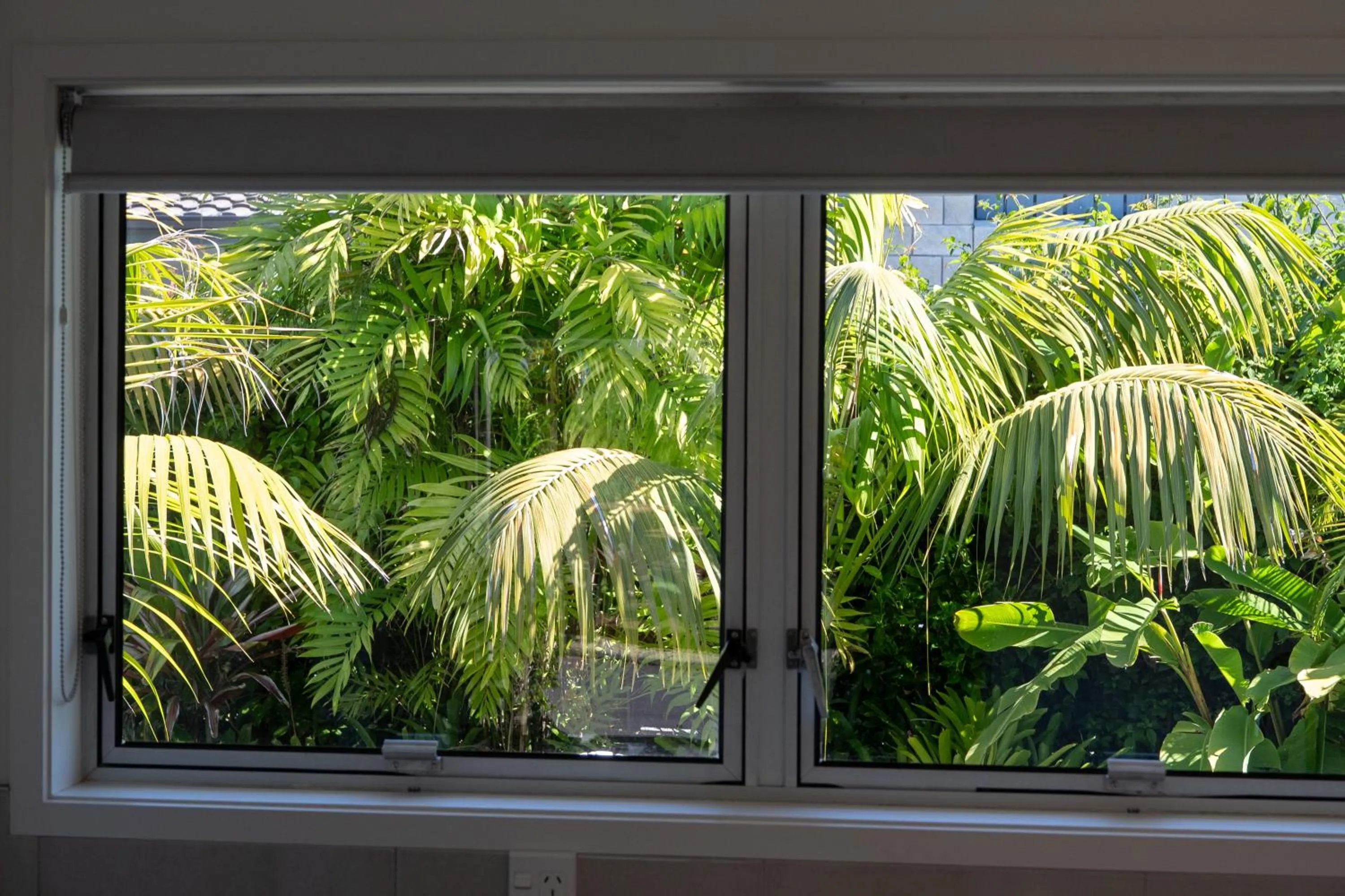 Natural landscape in Stay Kerikeri