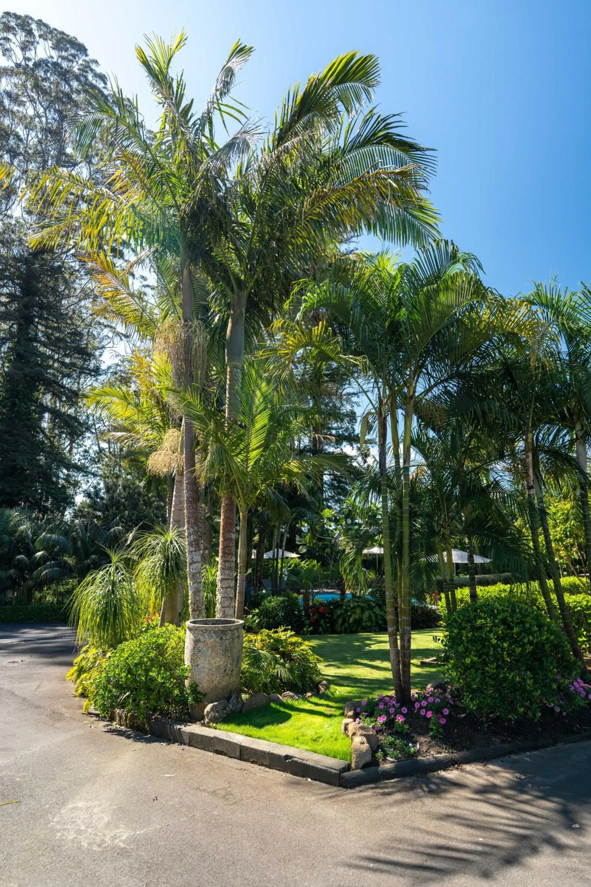 Natural landscape in Stay Kerikeri