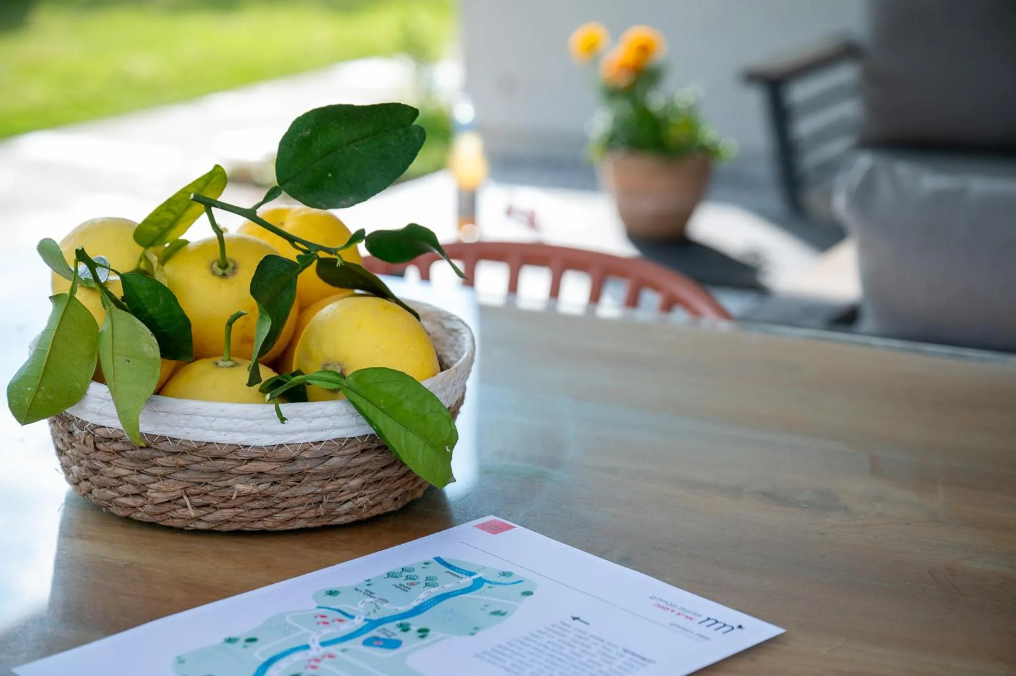 Patio in Erettz Dafna Travel Hotel