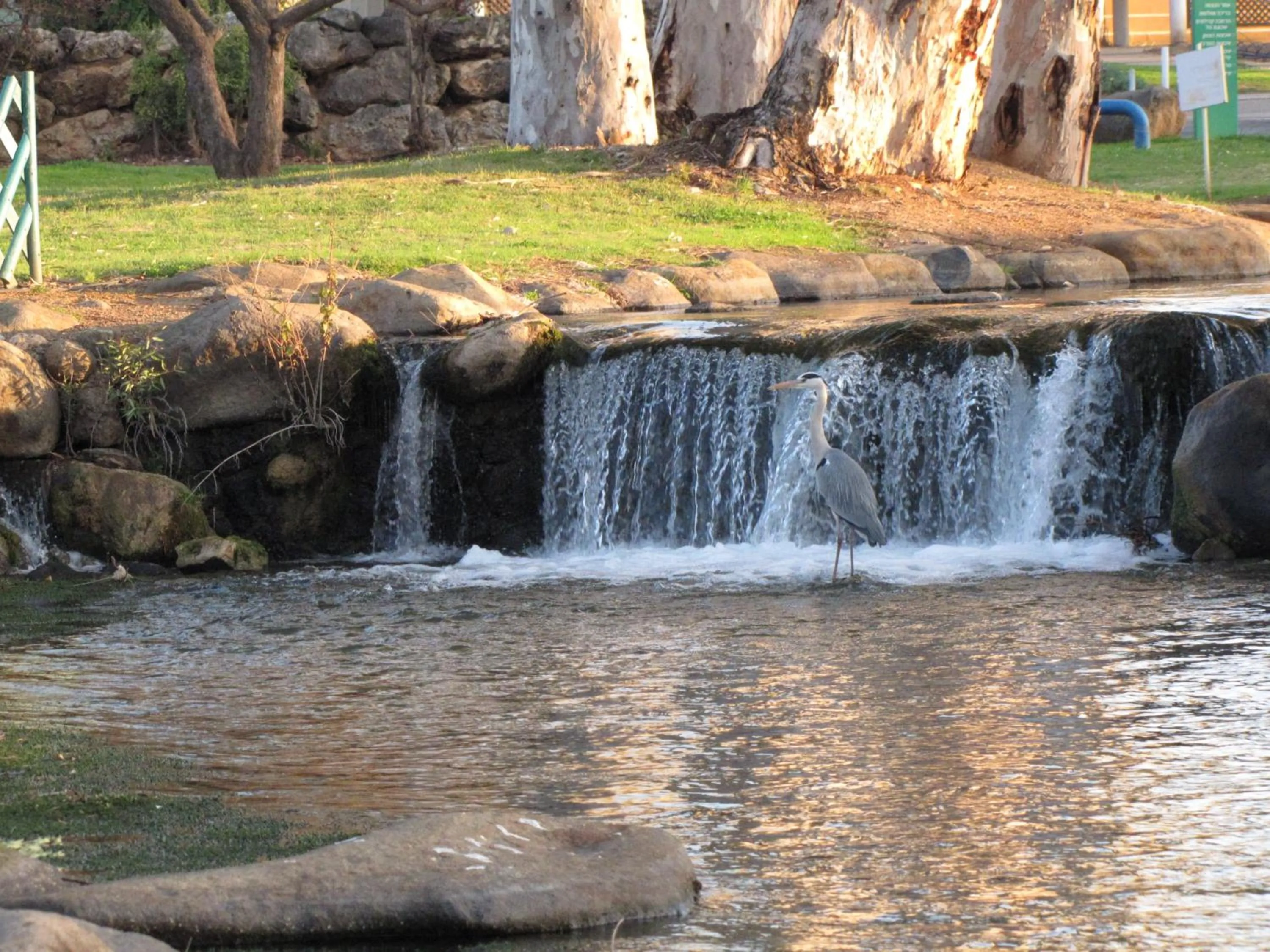 Natural landscape in Erettz Dafna Travel Hotel