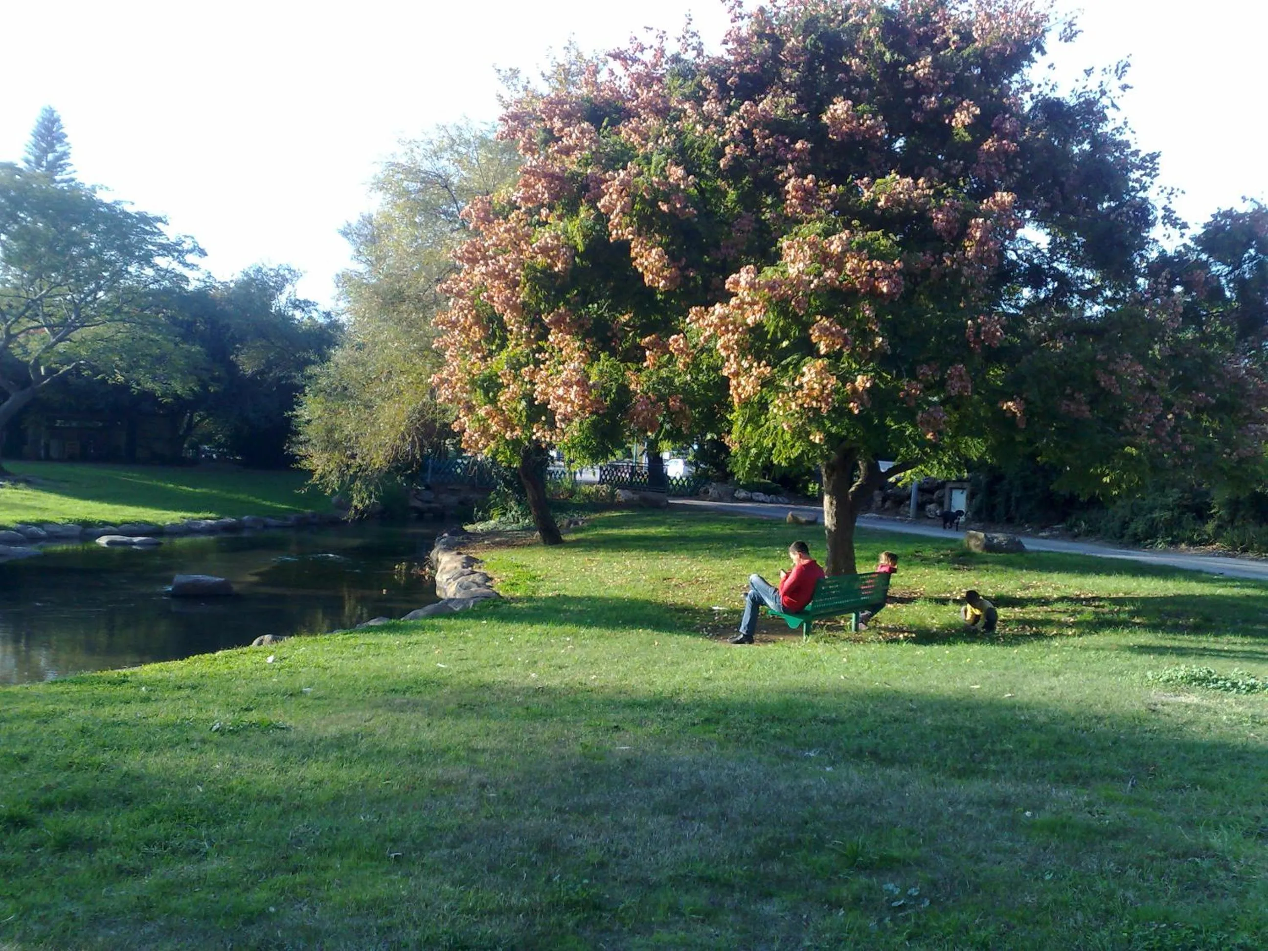 Garden in Erettz Dafna Travel Hotel
