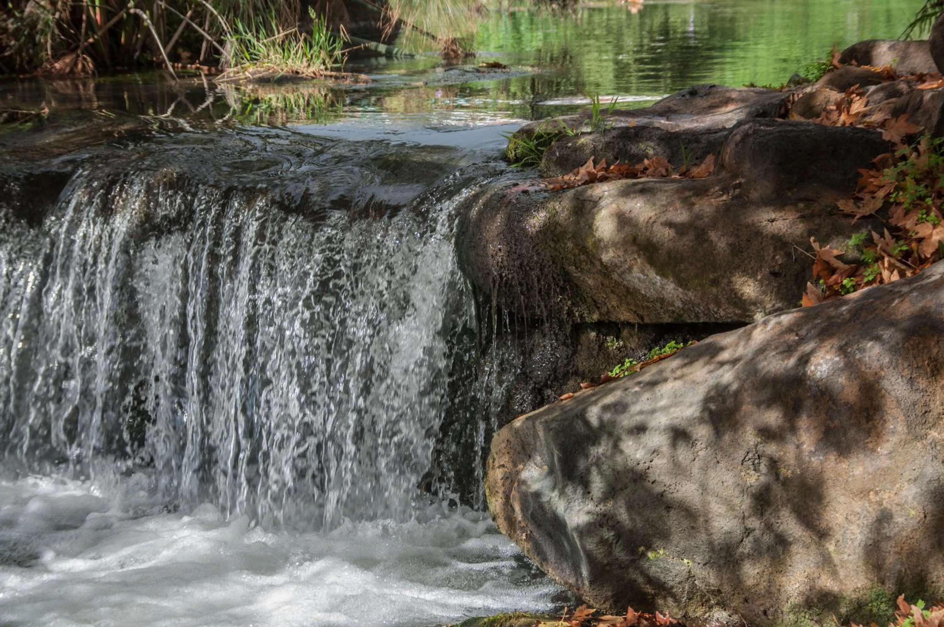 Natural landscape in Erettz Dafna Travel Hotel