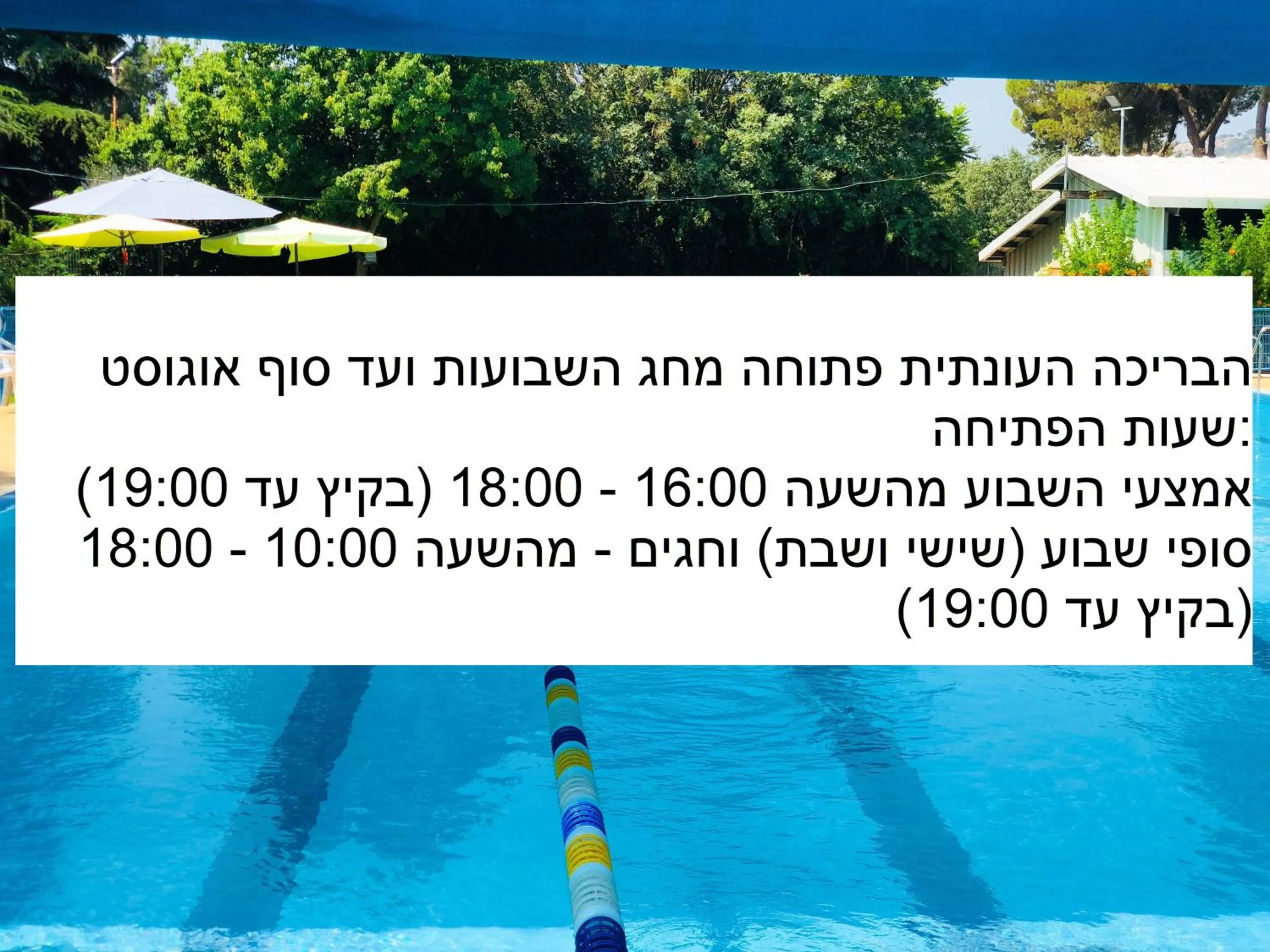 Swimming pool in Erettz Dafna Travel Hotel