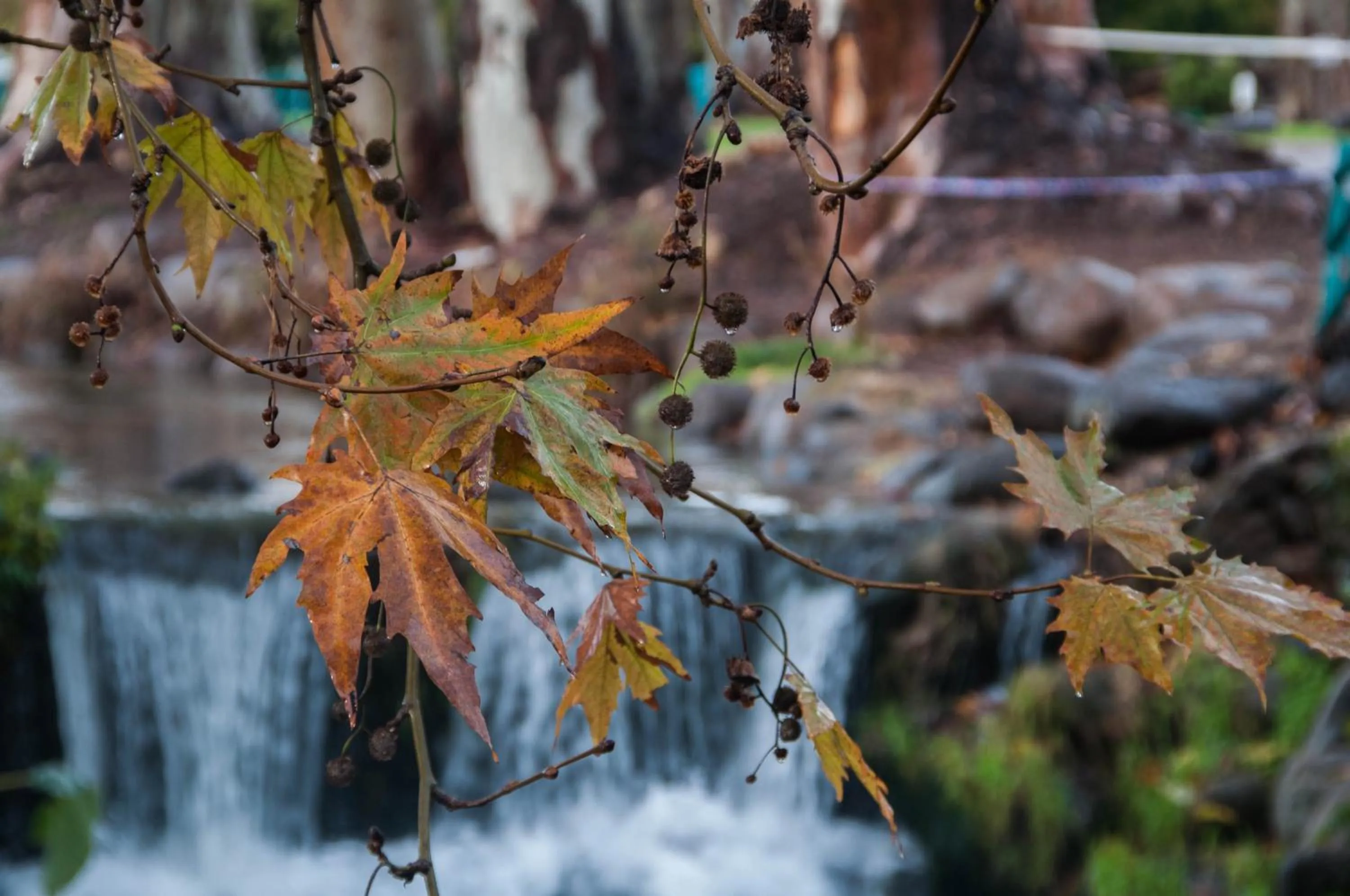 Natural landscape in Erettz Dafna Travel Hotel