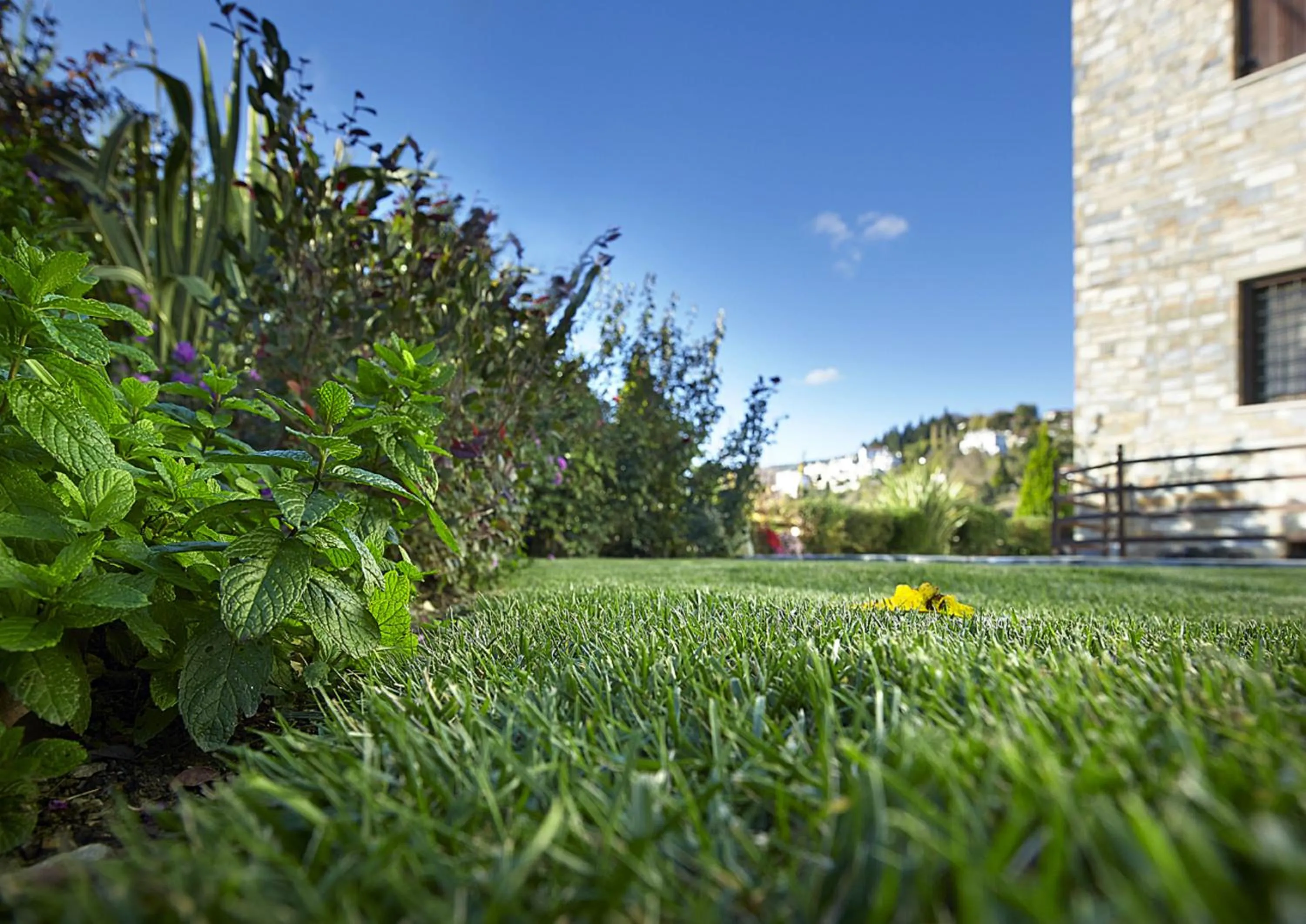 Garden in Stevalia Hotel & Spa