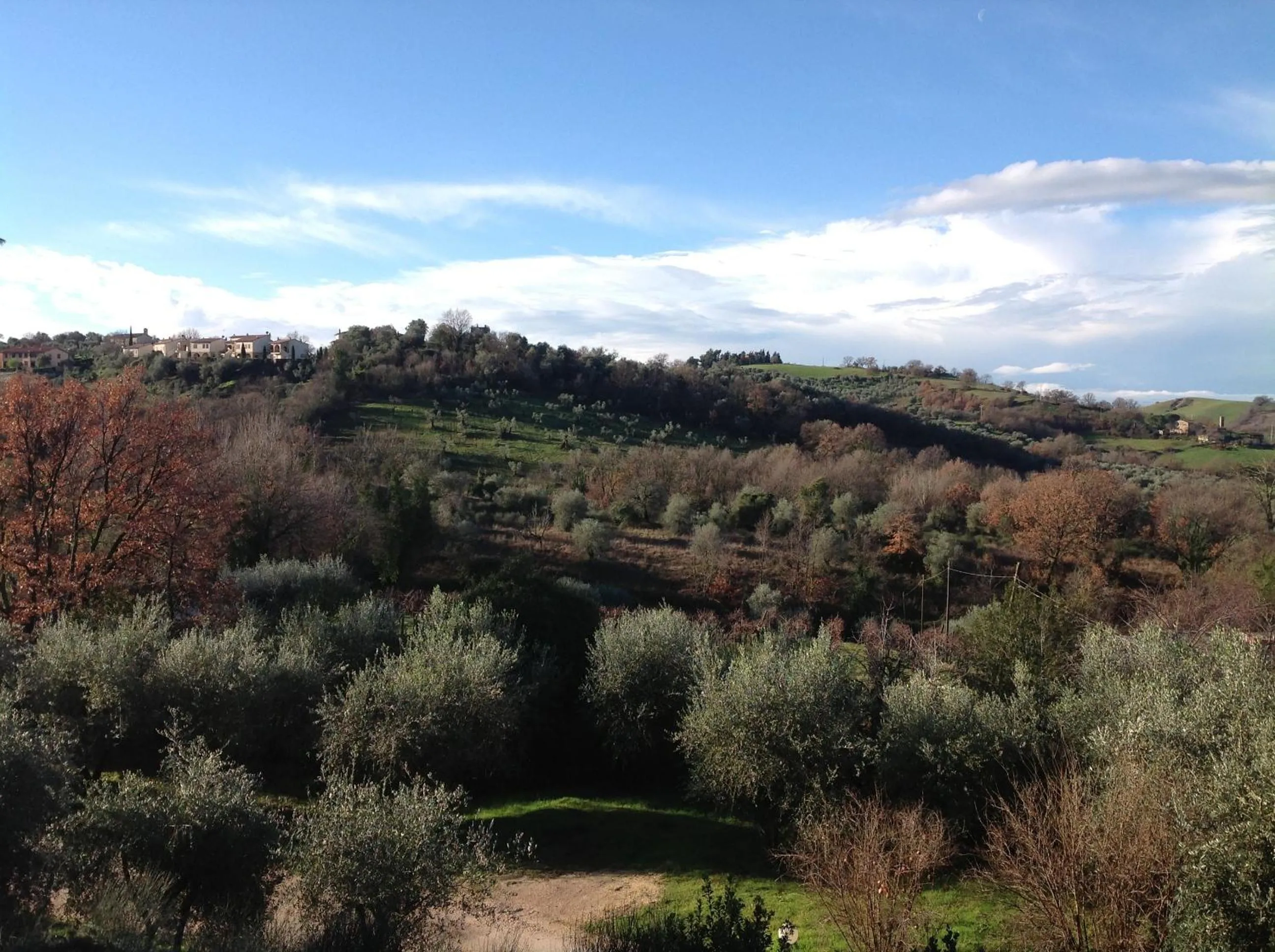 View (from property/room) in Il Melograno Country House