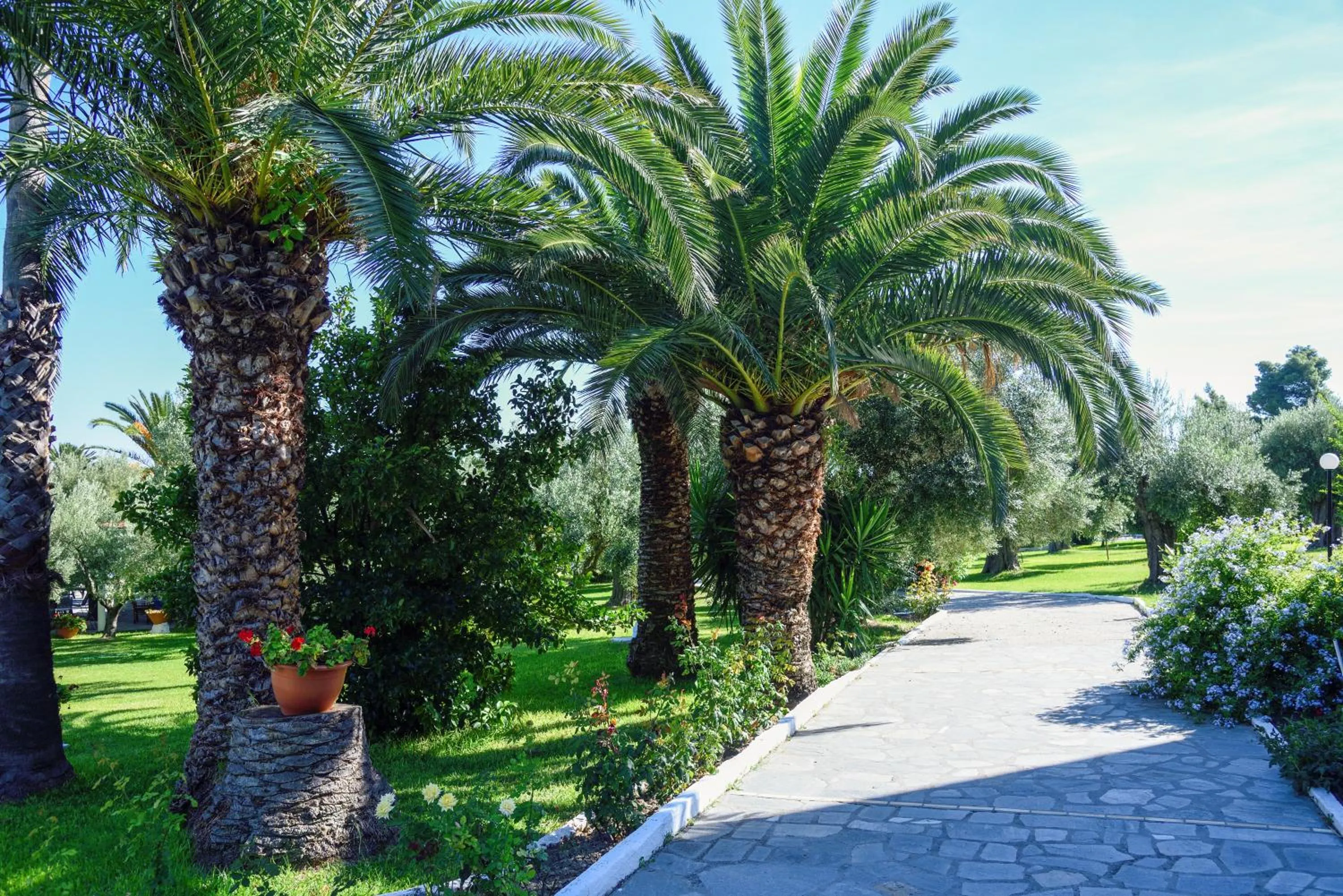 Natural landscape in Mendi Hotel