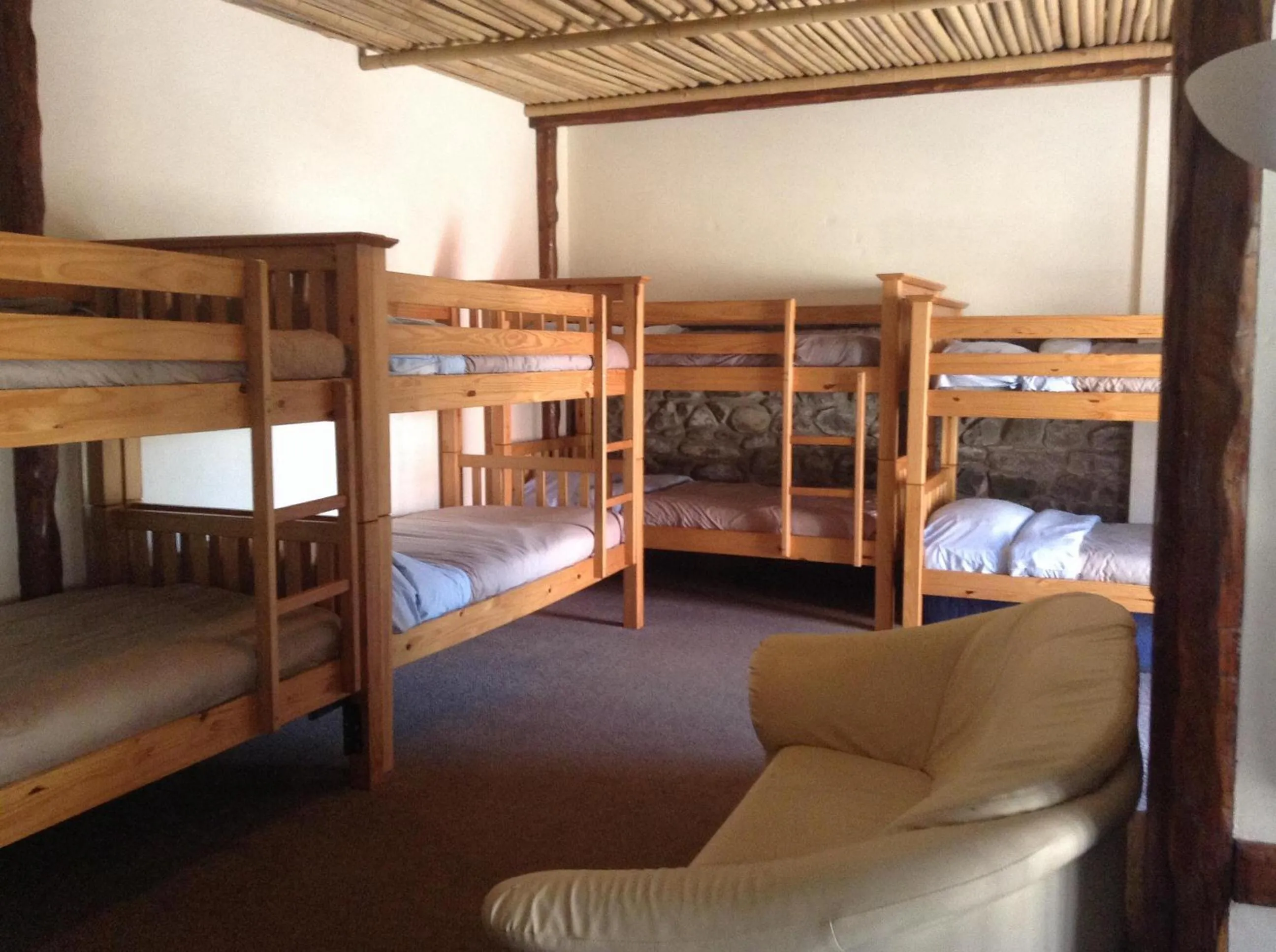 bunk bed, Bed in Pantyrathro International Hostel