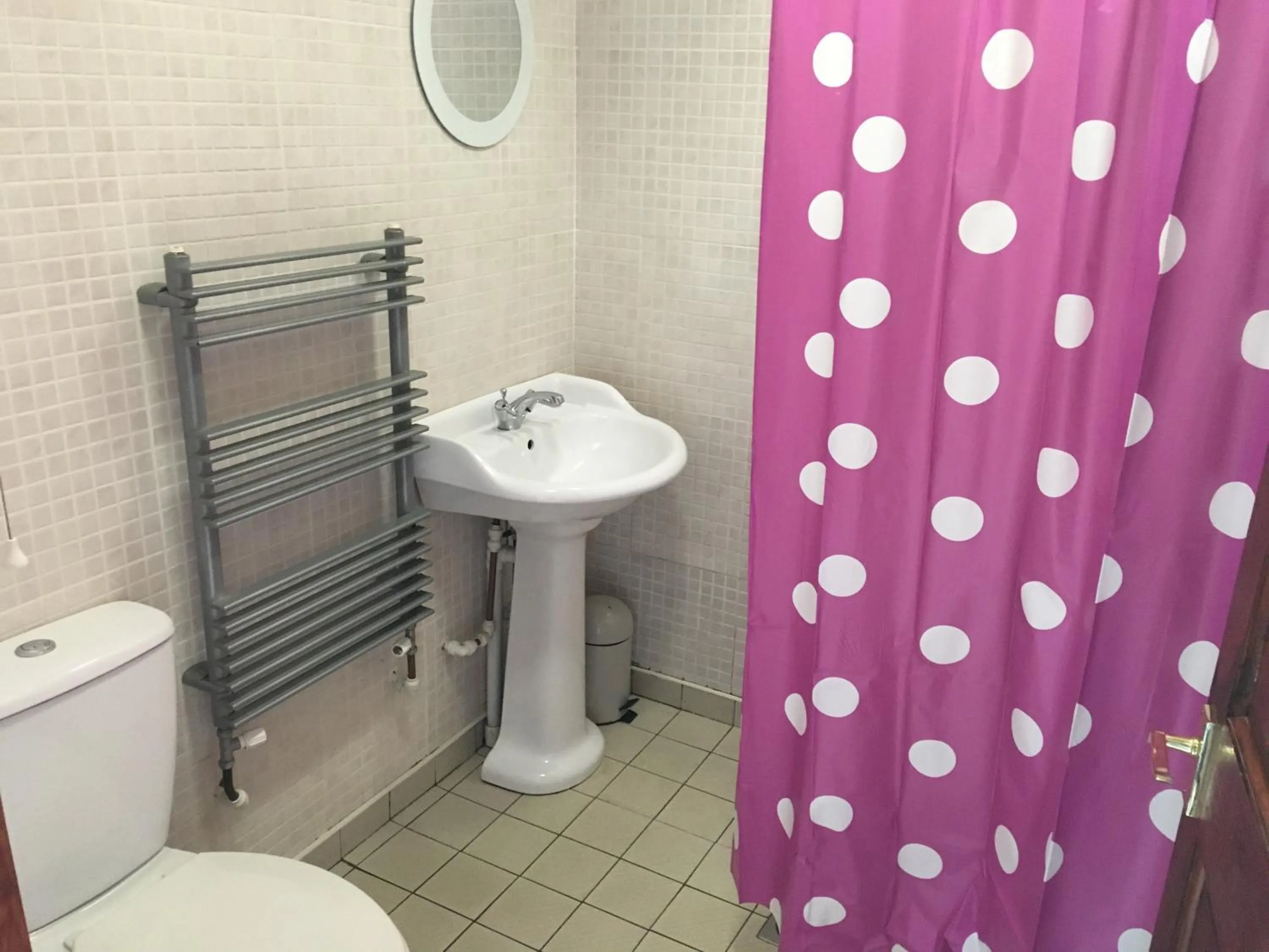 Bathroom in Pantyrathro International Hostel