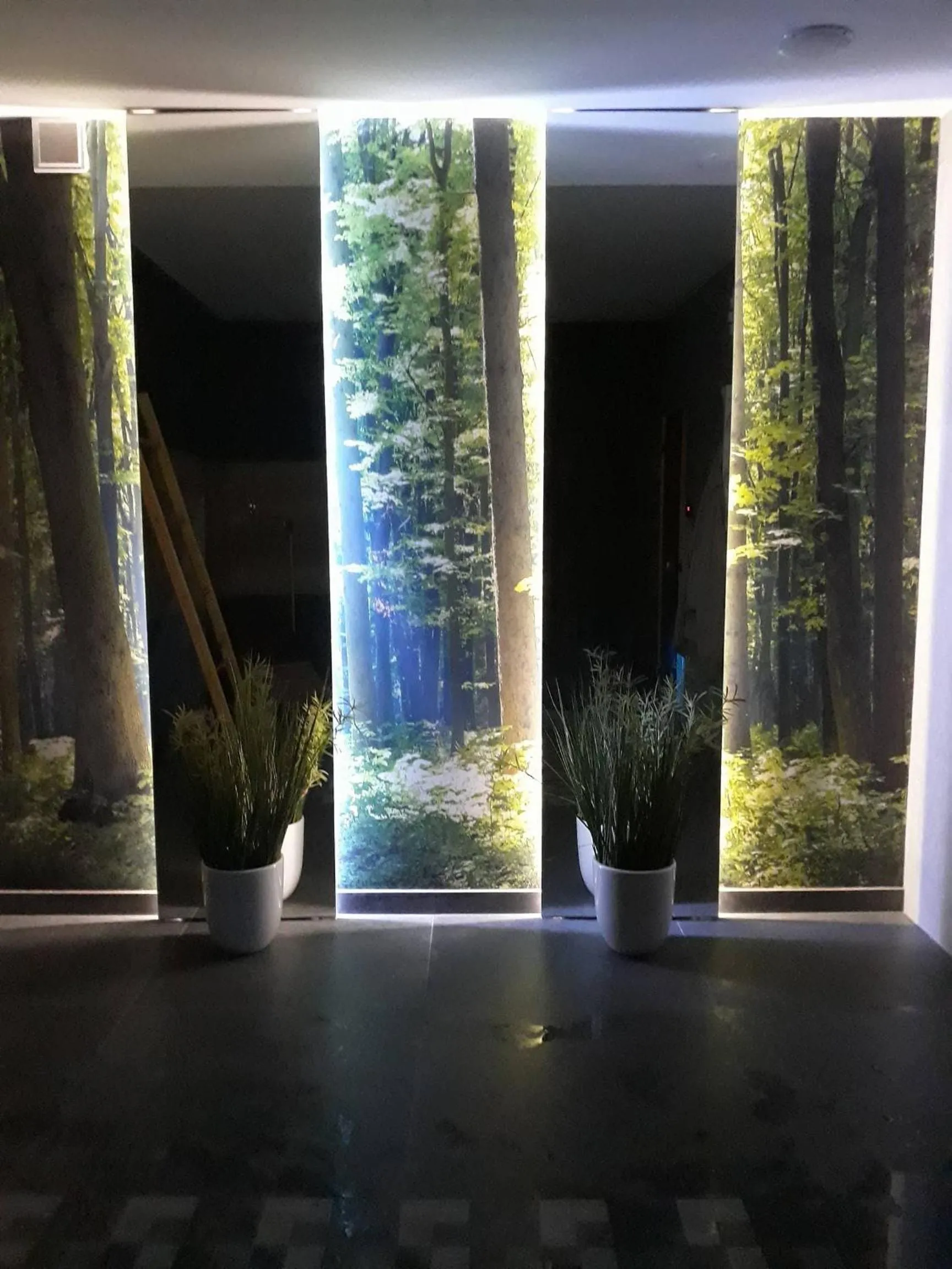 Activities in Hotel Roztocze