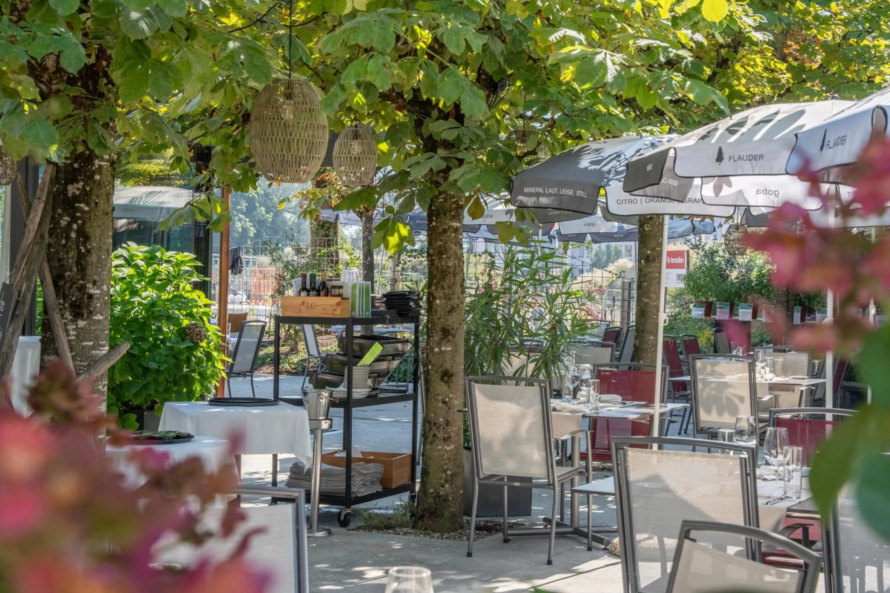 Garden in Hotel Restaurant Seegarten
