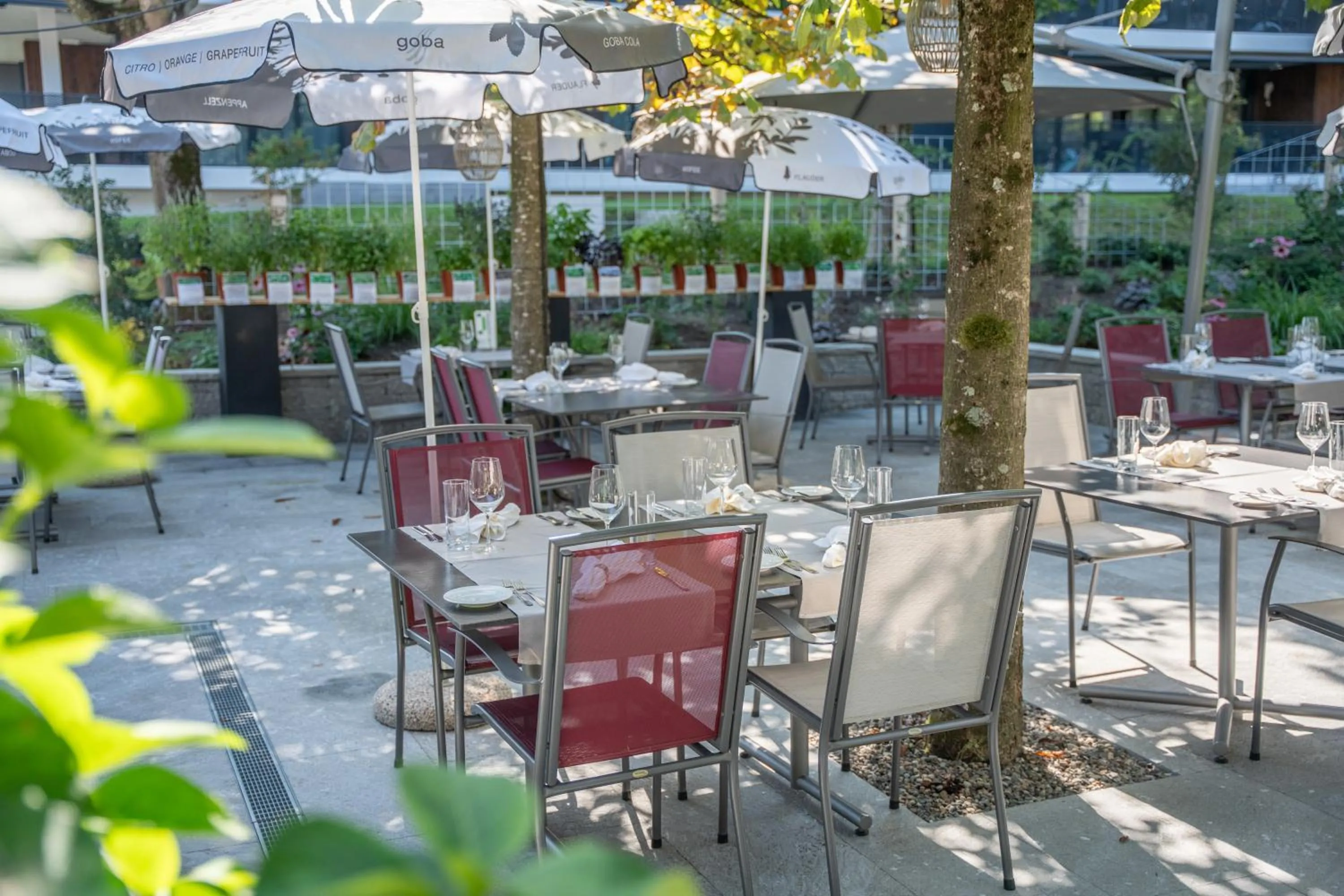 Restaurant/places to eat in Hotel Restaurant Seegarten