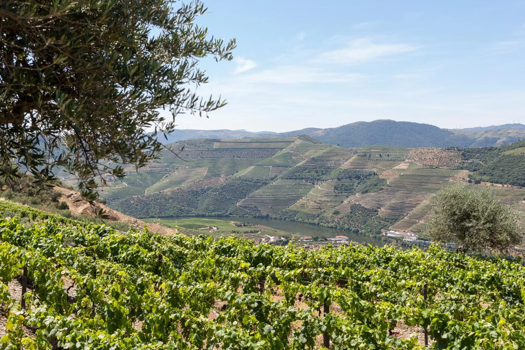 River view in Casa De Casal De Loivos