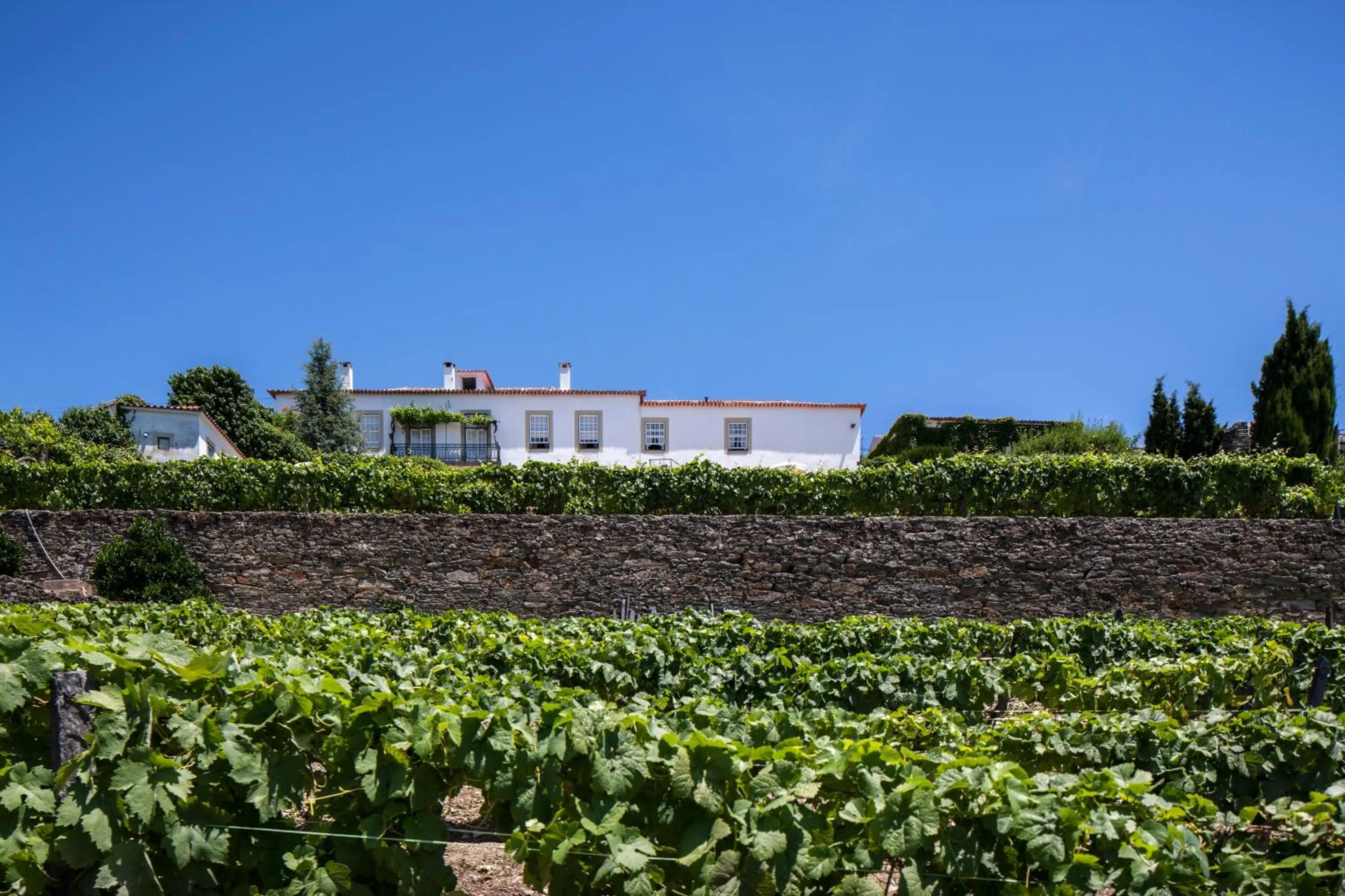 Balcony/Terrace in Casa De Casal De Loivos