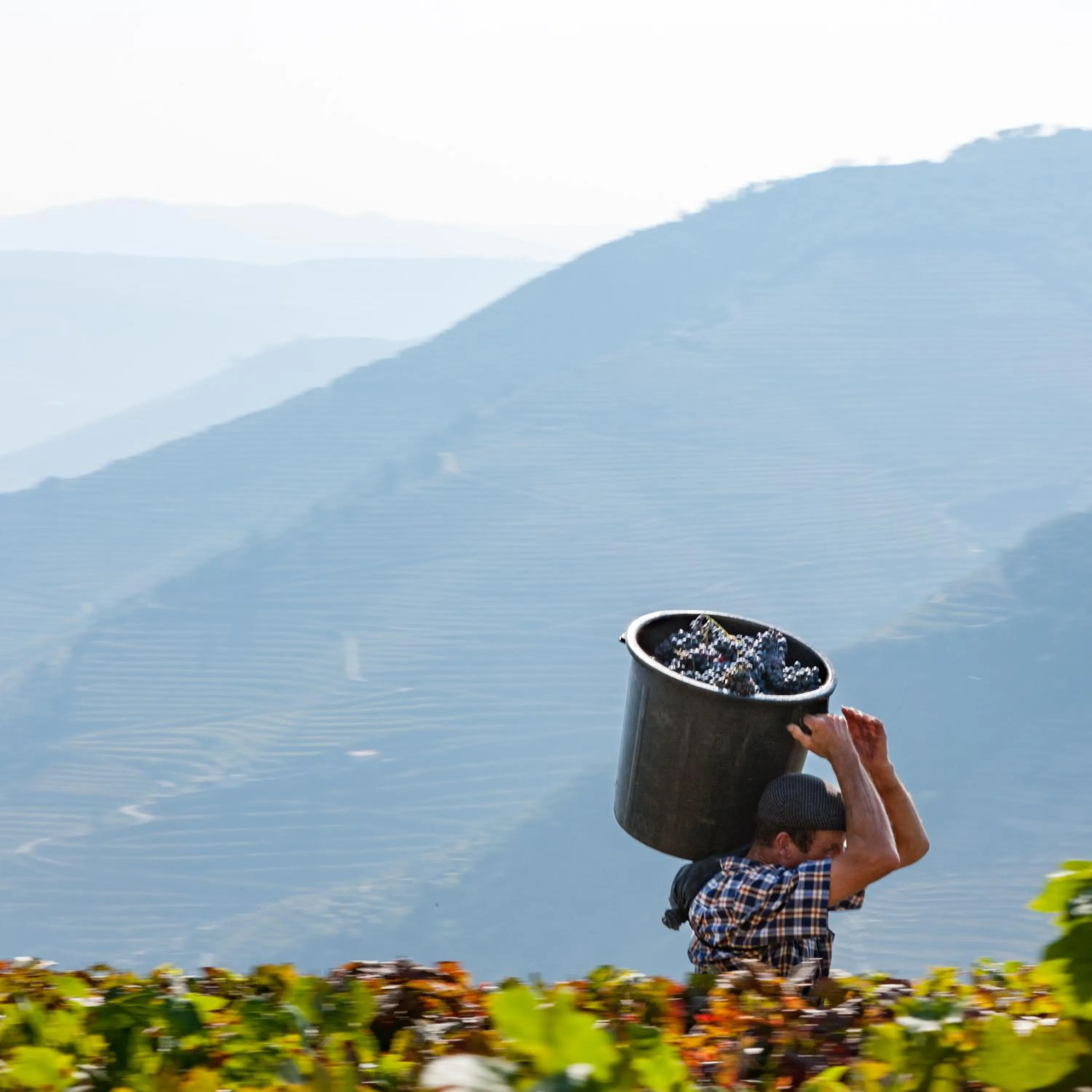 Garden in Casa De Casal De Loivos