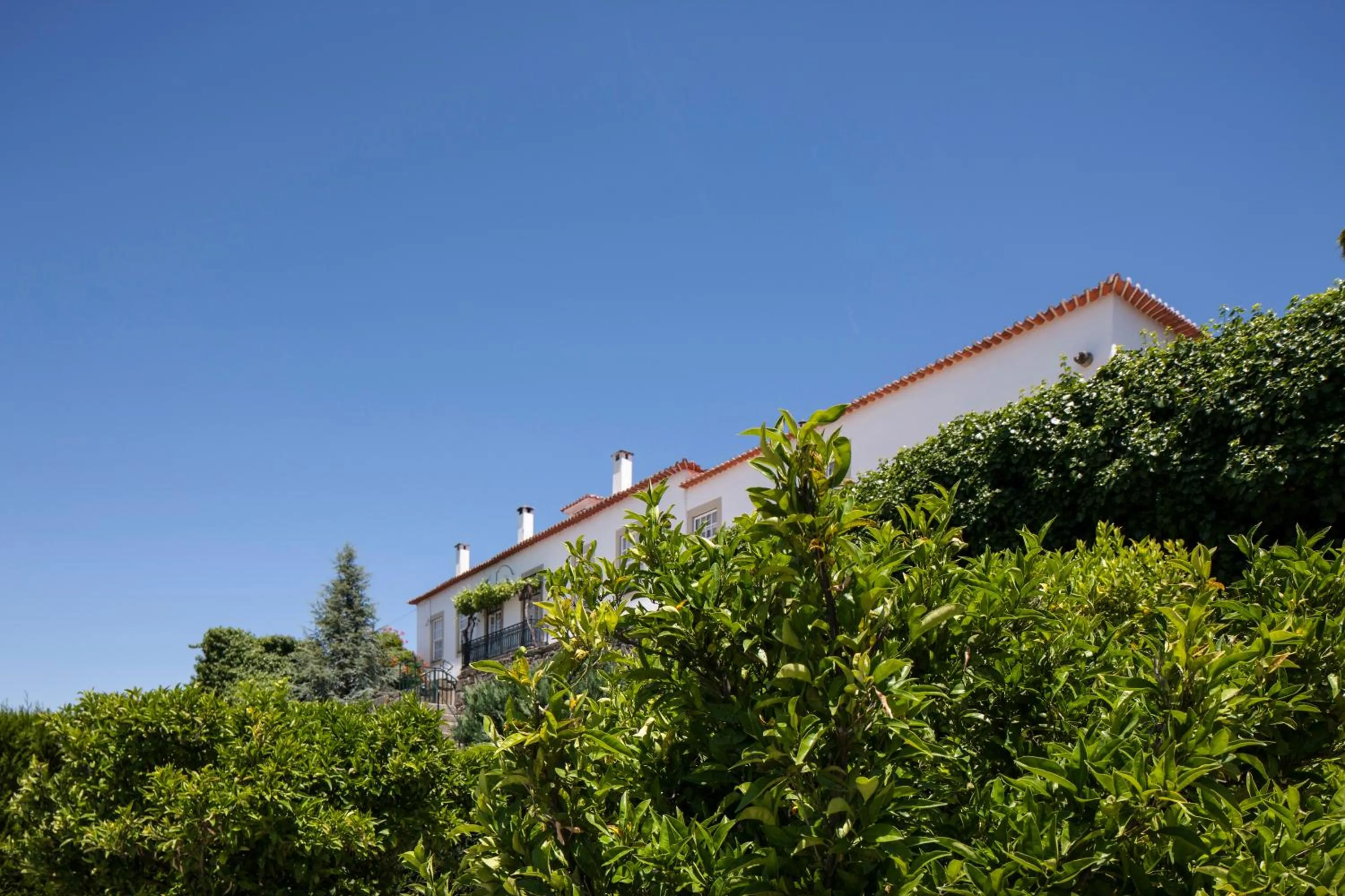 Garden in Casa De Casal De Loivos