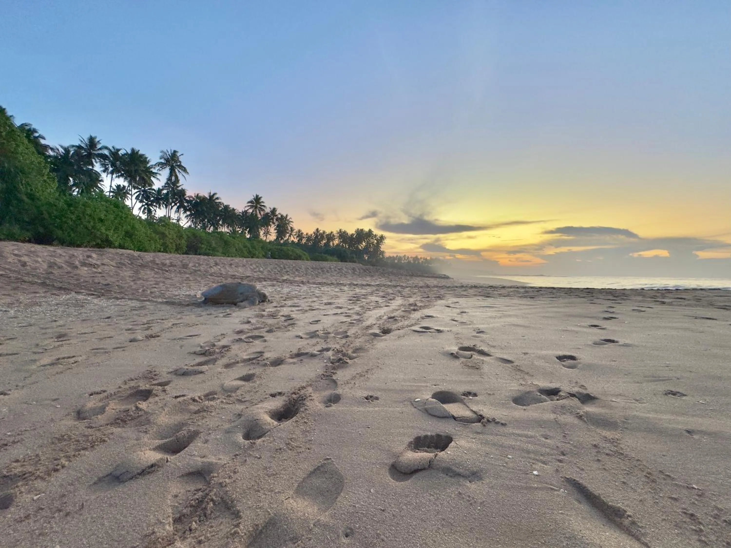 Nearby landmark in Rekawa Turtle Gate Hotel