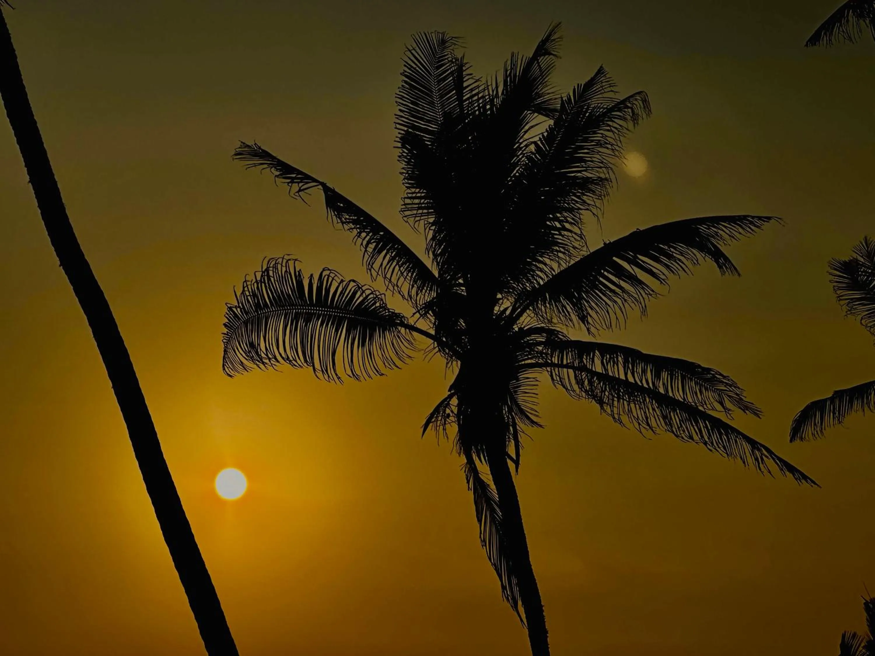 Rekawa Turtle Gate Hotel