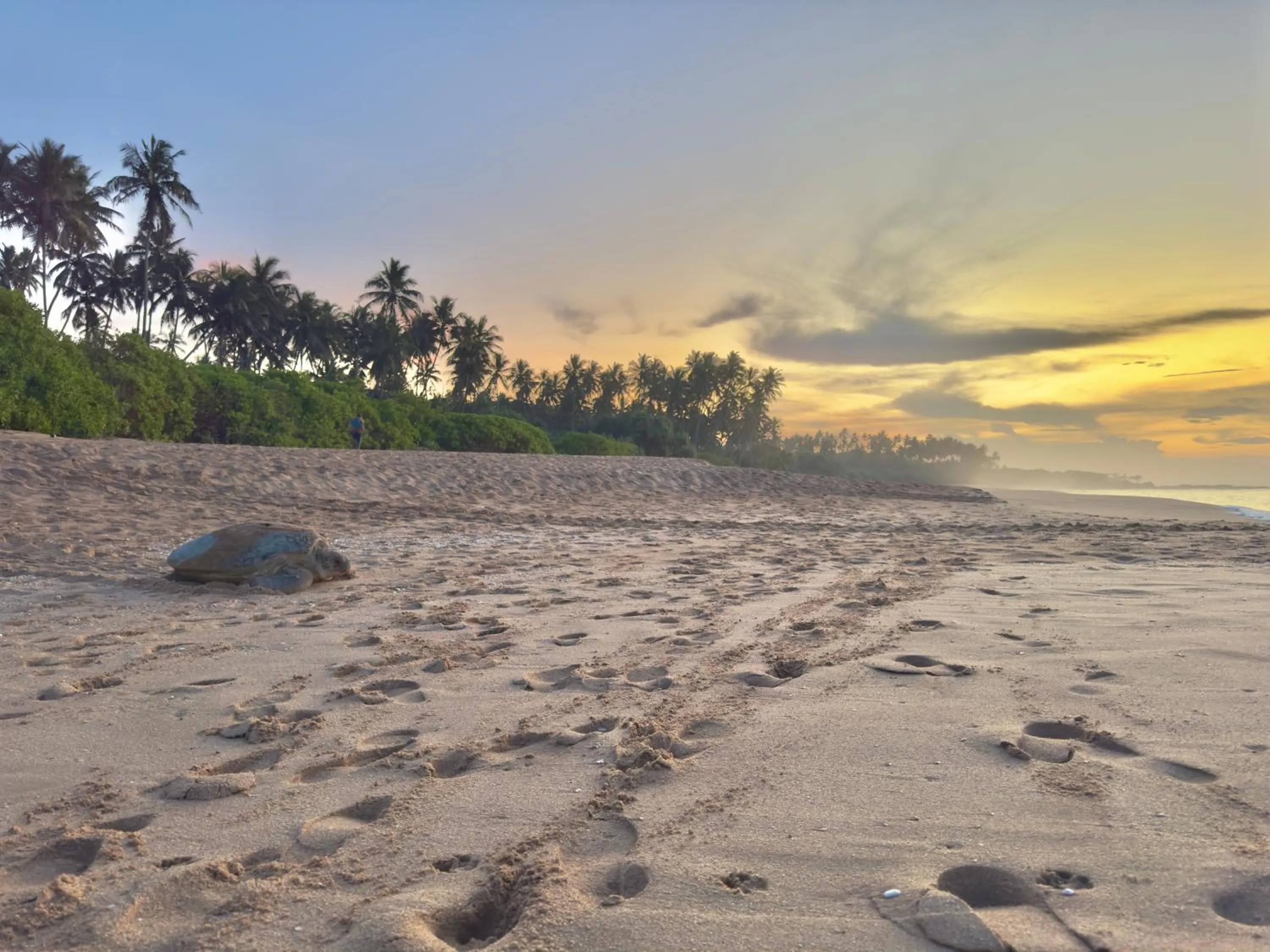 Day in Rekawa Turtle Gate Hotel