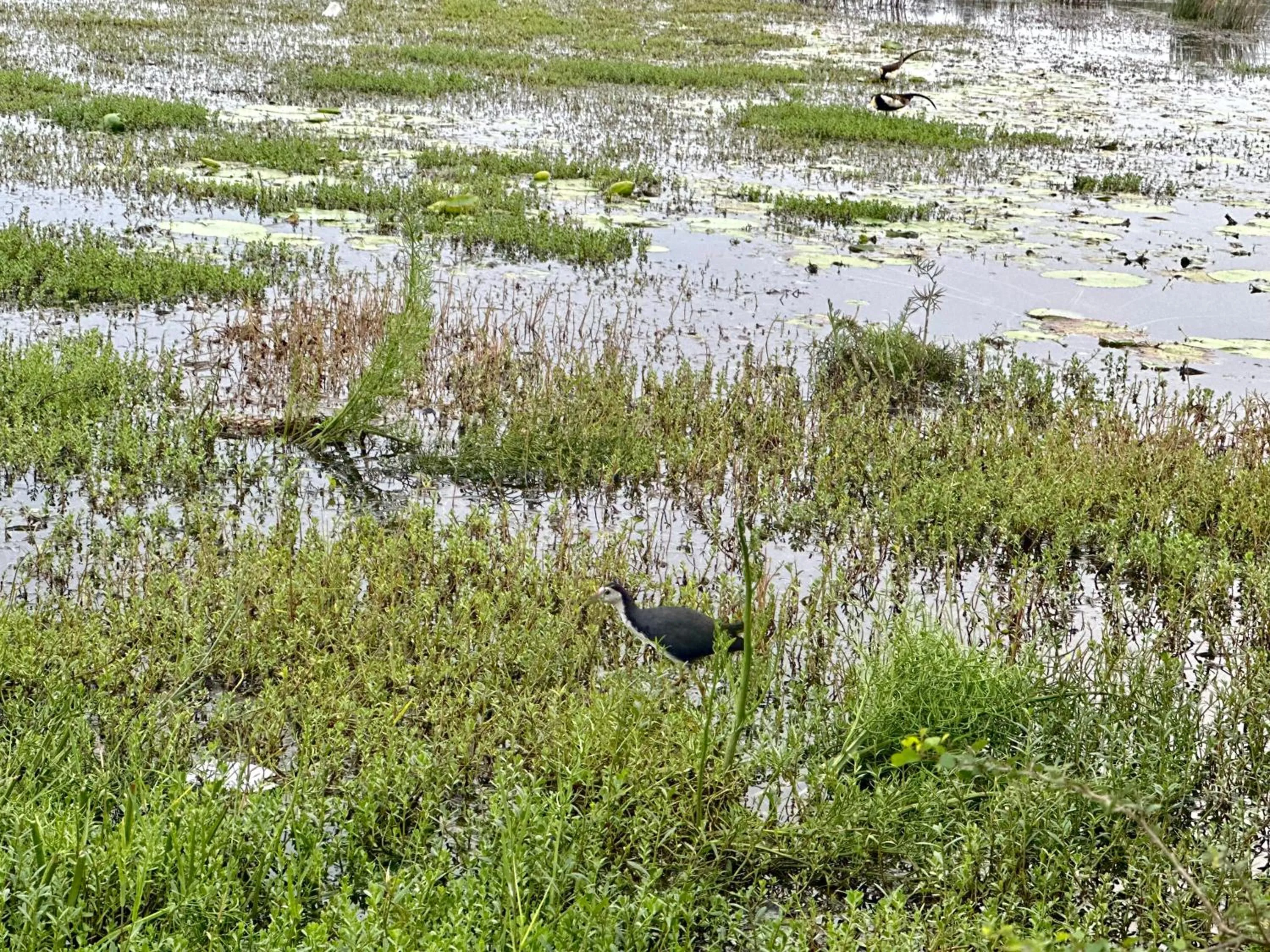 Spring in Rekawa Turtle Gate Hotel