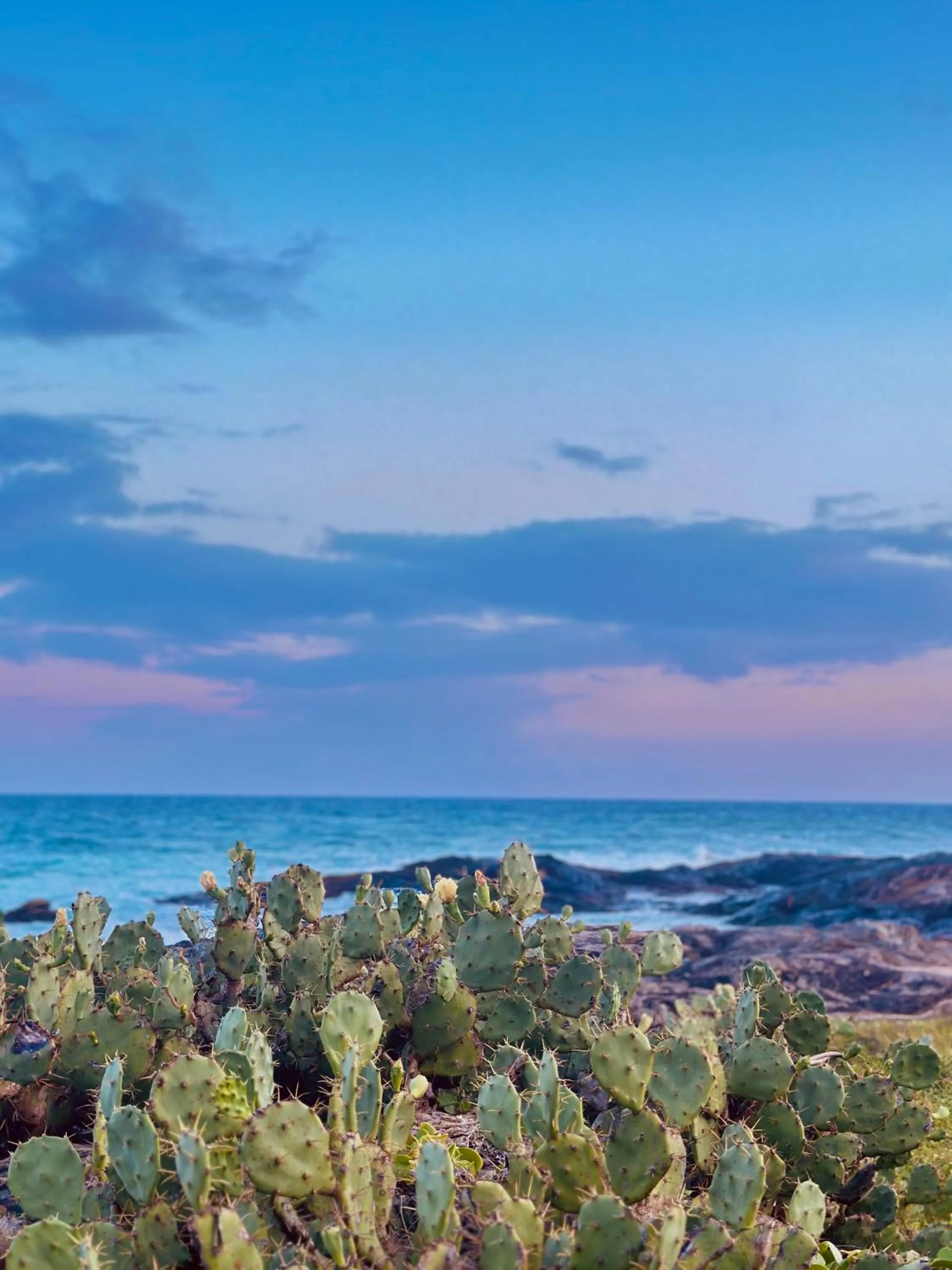 Nearby landmark in Rekawa Turtle Gate Hotel