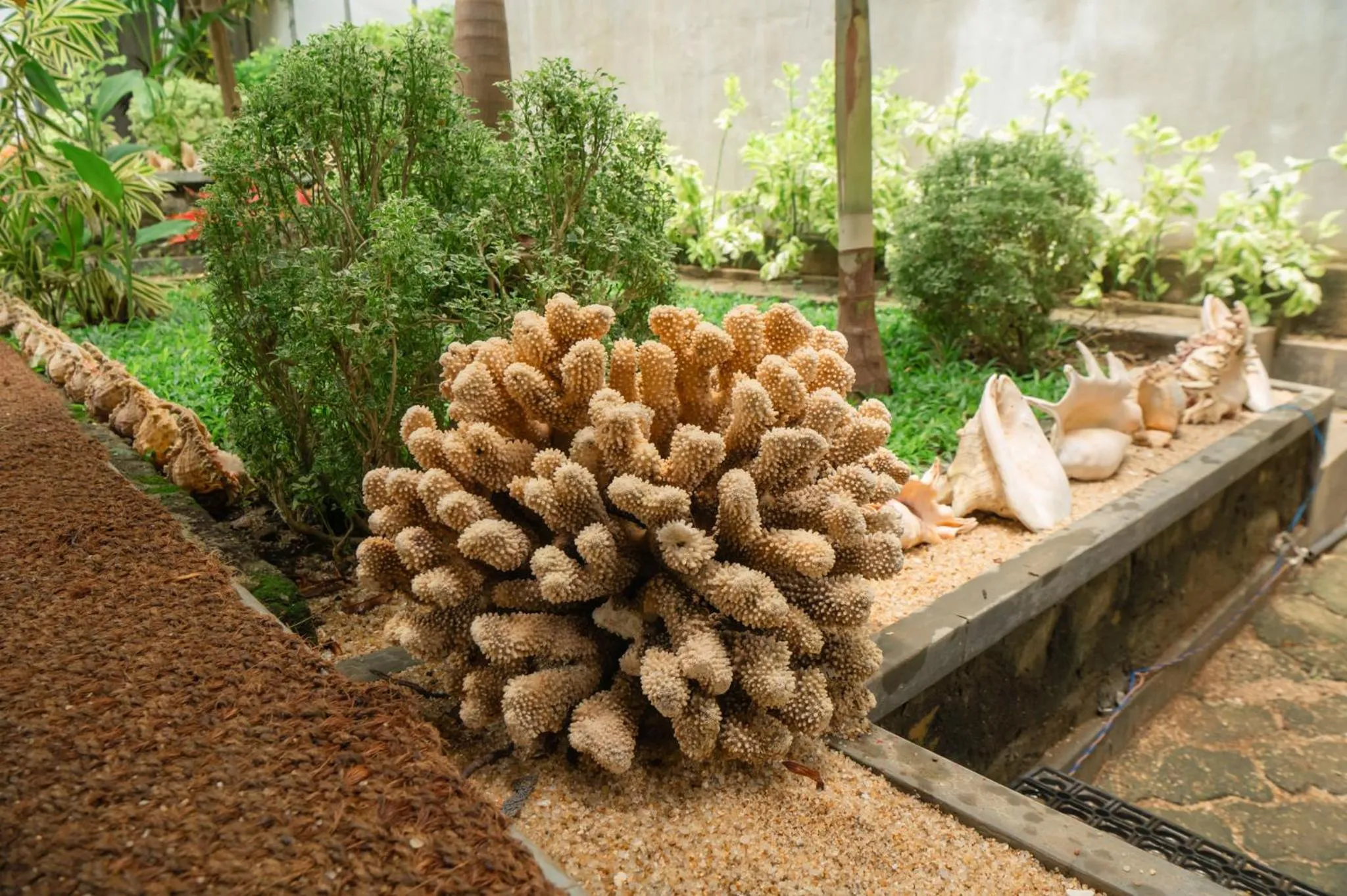 Spring in Rekawa Turtle Gate Hotel